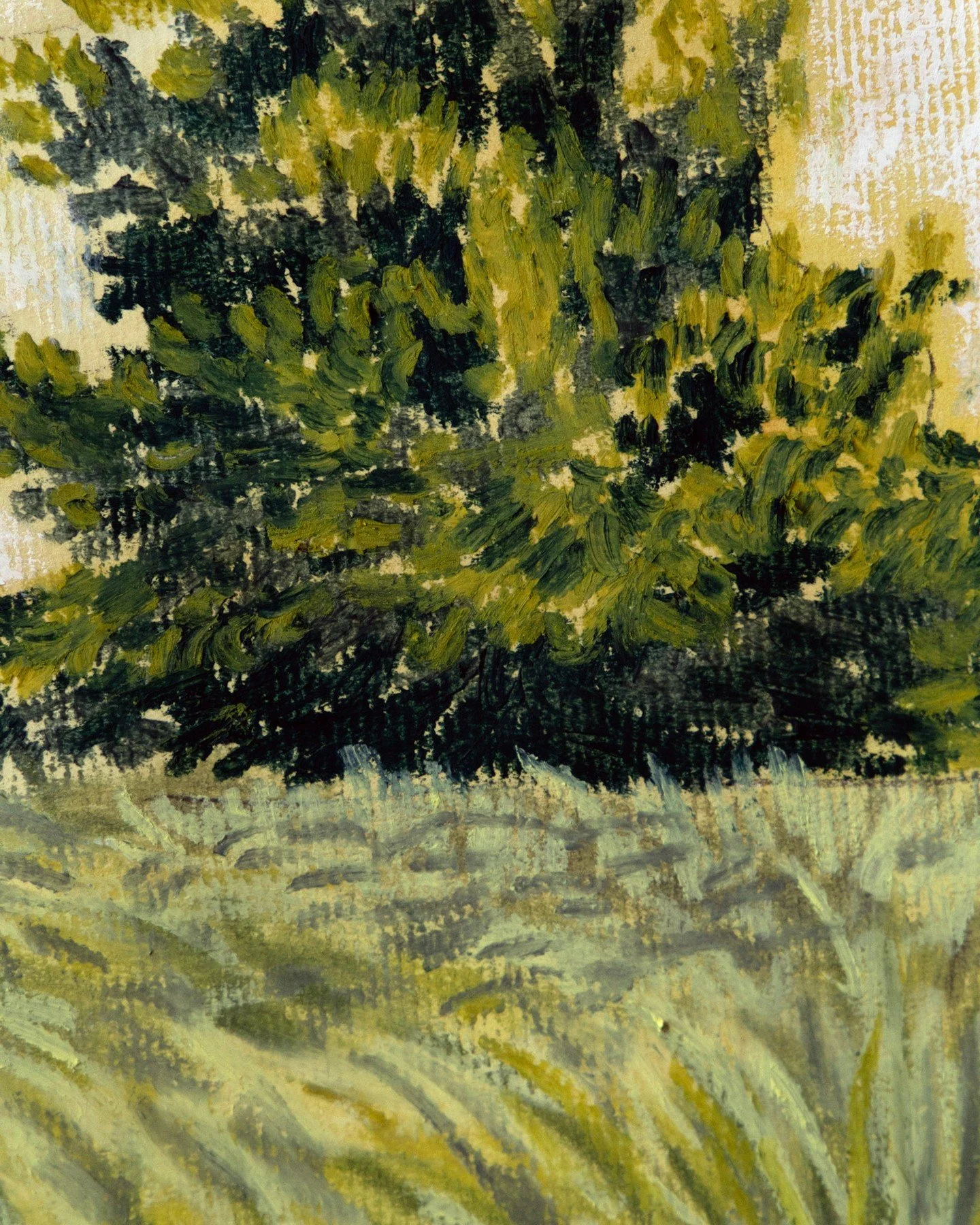spring in arbor hills  #artinprogress 
.
.
.
.
.
#oilpastelart #artonpaper #worksonpaper #sennelieroilpastels