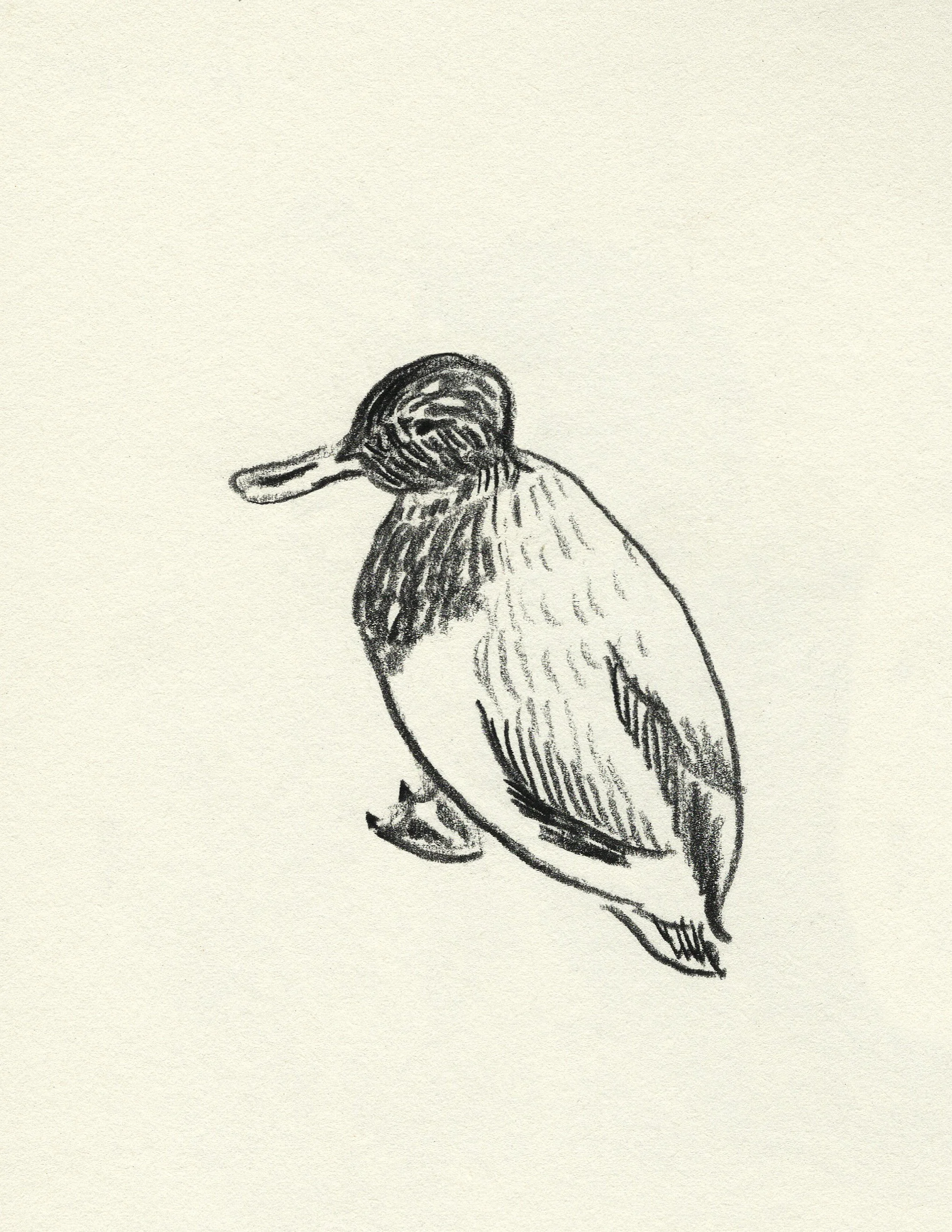 duck-2026.jpg