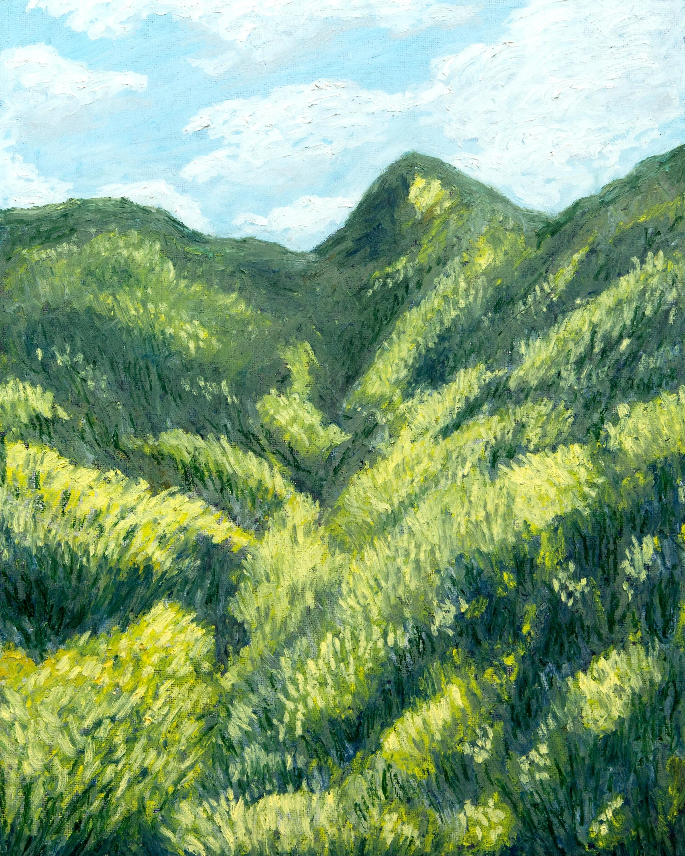 wildflowers.jpg