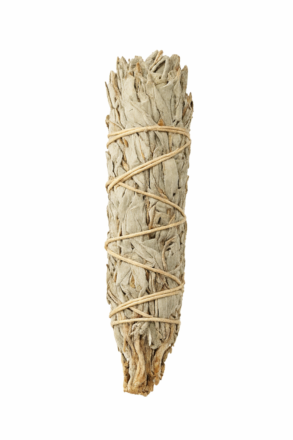 ChatGPT Image Jan 4, 2026, 07_50_45 PM.png