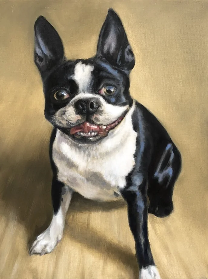 Painting of a Boston Terrier dog with a black and white coat, sitting on a wooden floor, looking at the camera with a happy expression.