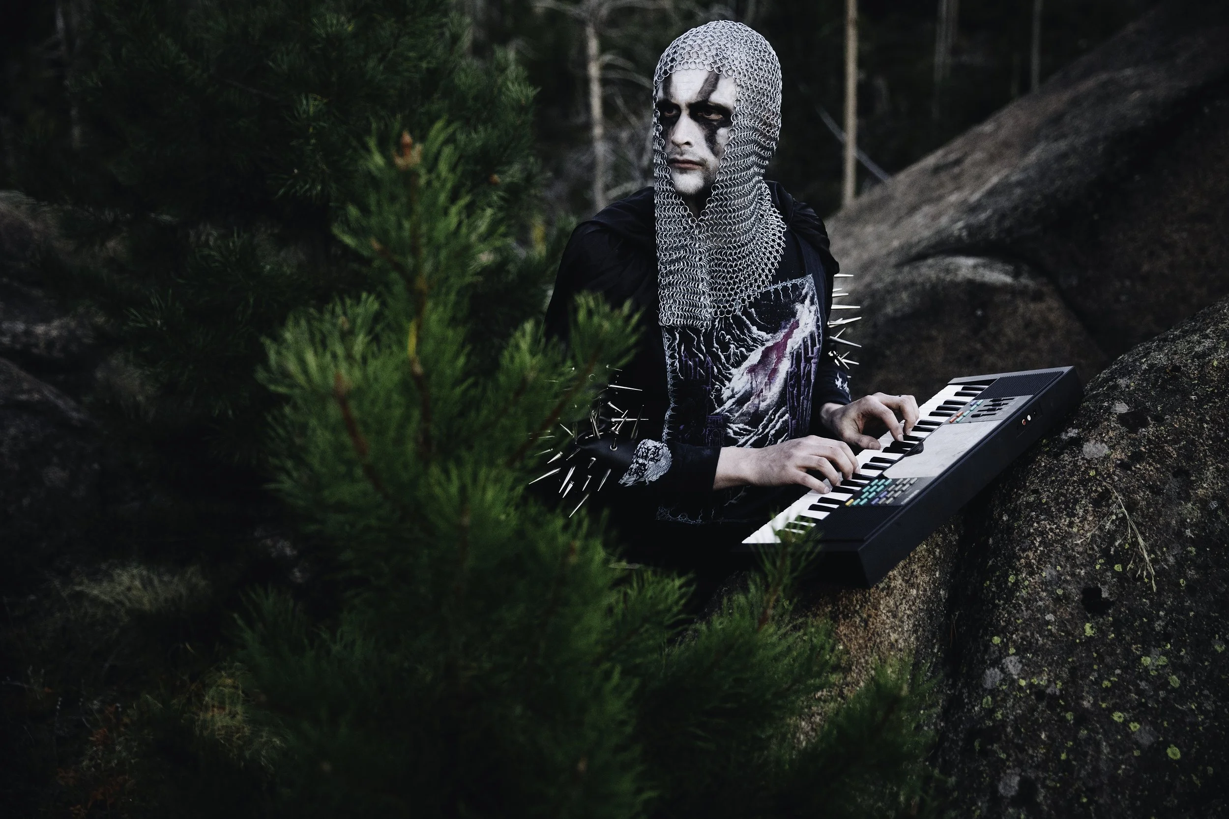 Coniferous Myst, Montana