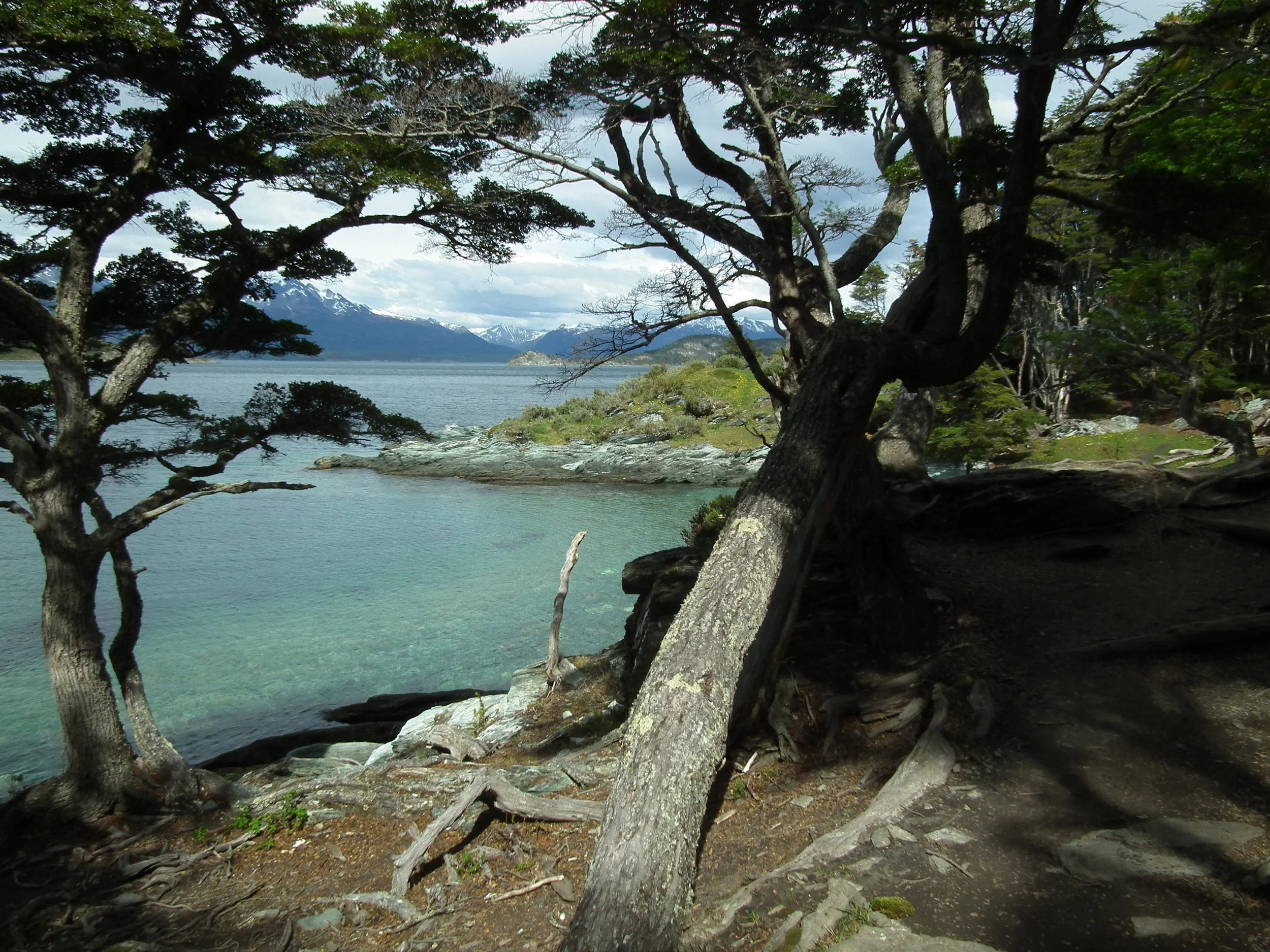 Paisagem natural com árvores ao longo de um lago, montanhas ao fundo e céu parcialmente nublado.
