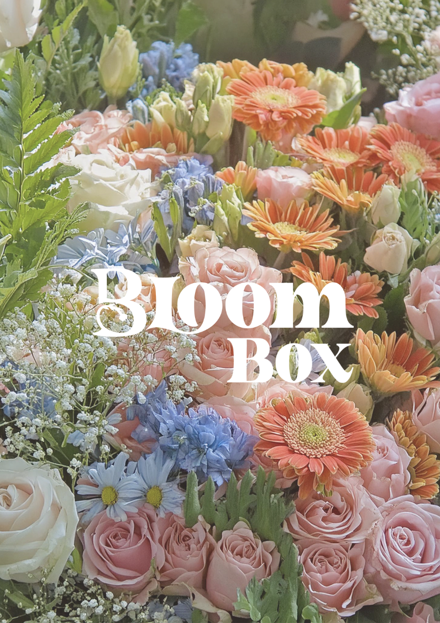 Screenshot 2026-01-15 at 12.35.15.png