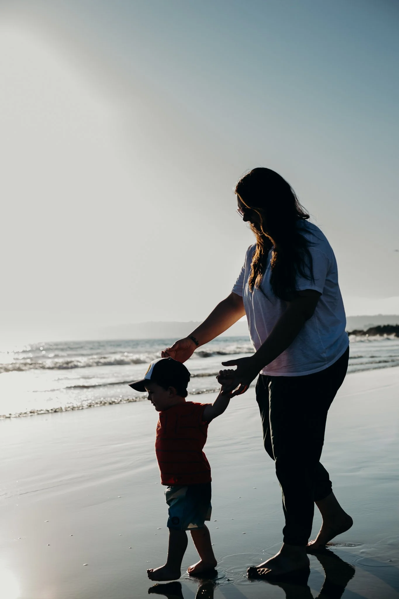 Introducing The Wholesome Diet