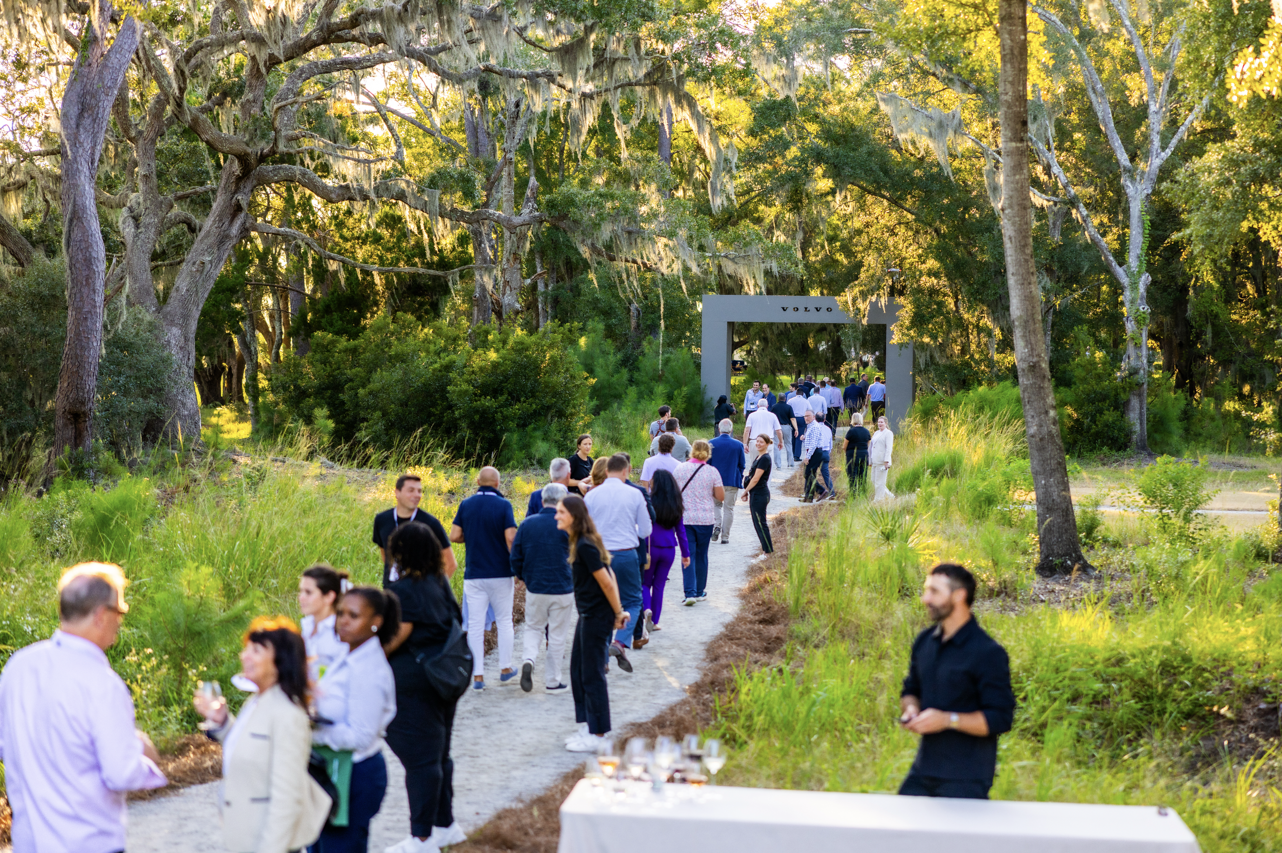 Screenshot 2026-02-08 at 8.37.00 PM.png