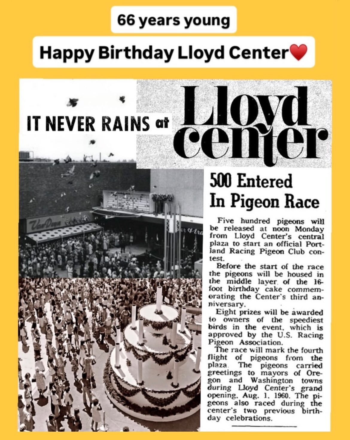66 years young today - Happy Birthday Lloyd Center! 

Three cheers for a historic mall that has served our community for more than three generations - and still delivers the goods today! 

#LongLiveLloyd

Slide 1. Opening day, Aug 1, 1960. 500 pigeon