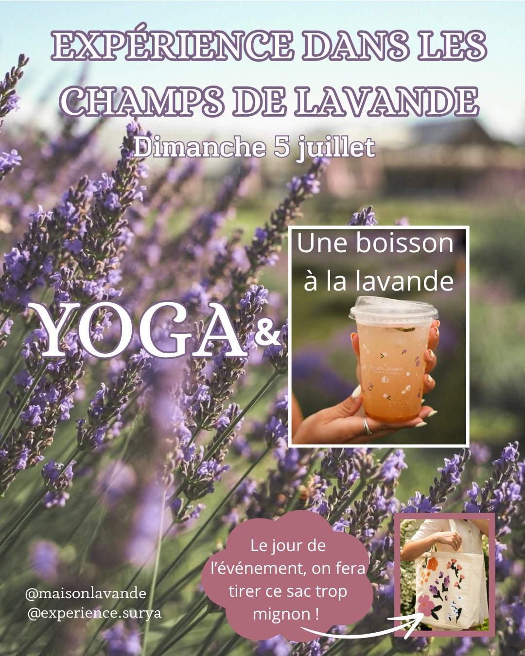 Yoga champs de lavande