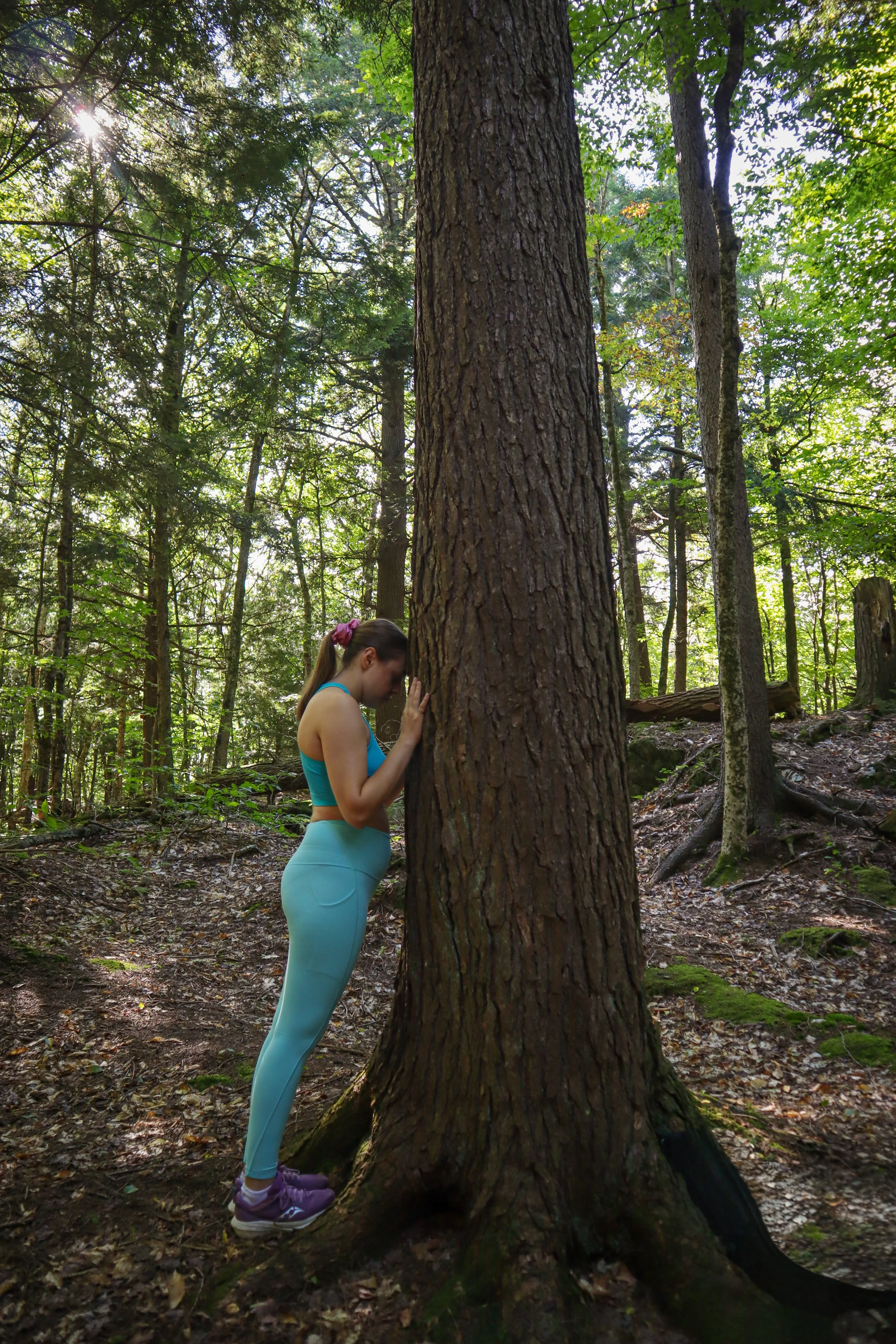 calin à un arbre