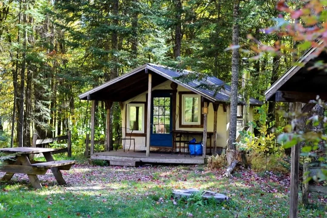 Petite cabane en bois dans la forêt avec un porche, une table de pique-nique en bois devant et des arbres environnants.