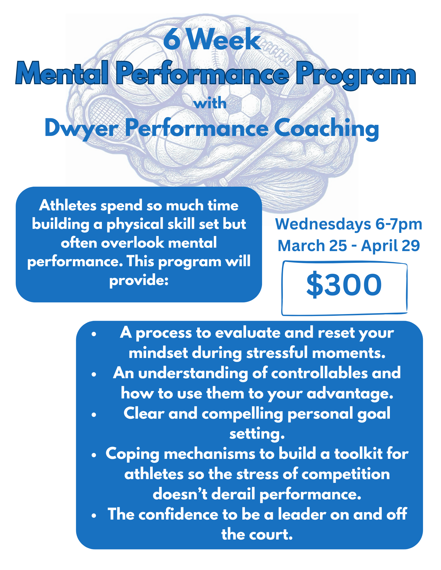 6 Week Mental Performance Program.PNG