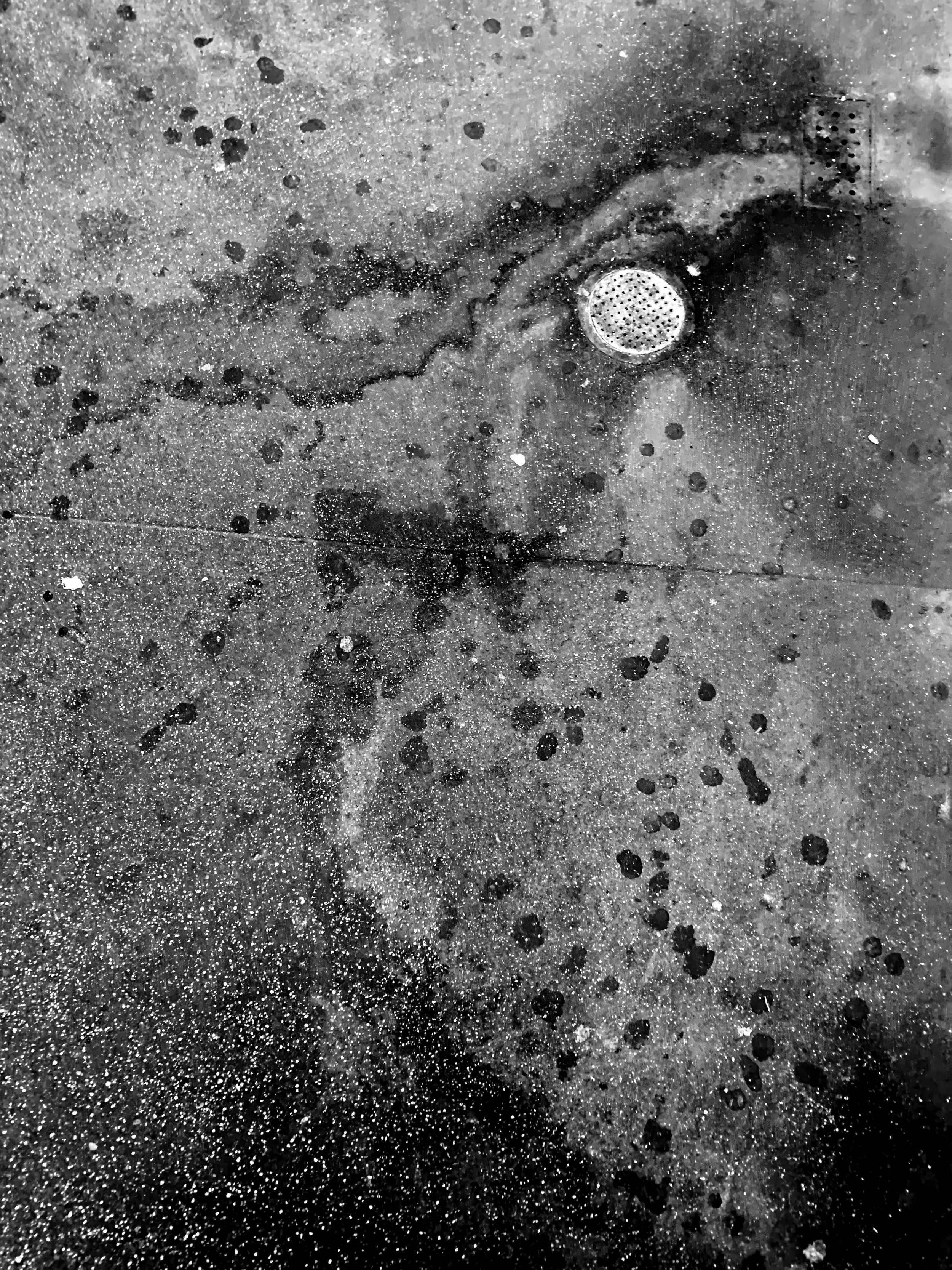 IMG_7152.jpg