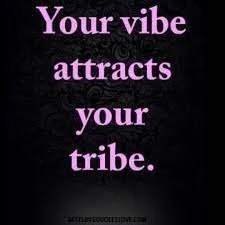 Inspirational quote: "Your vibe attracts your tribe" in lavender text on a dark background.