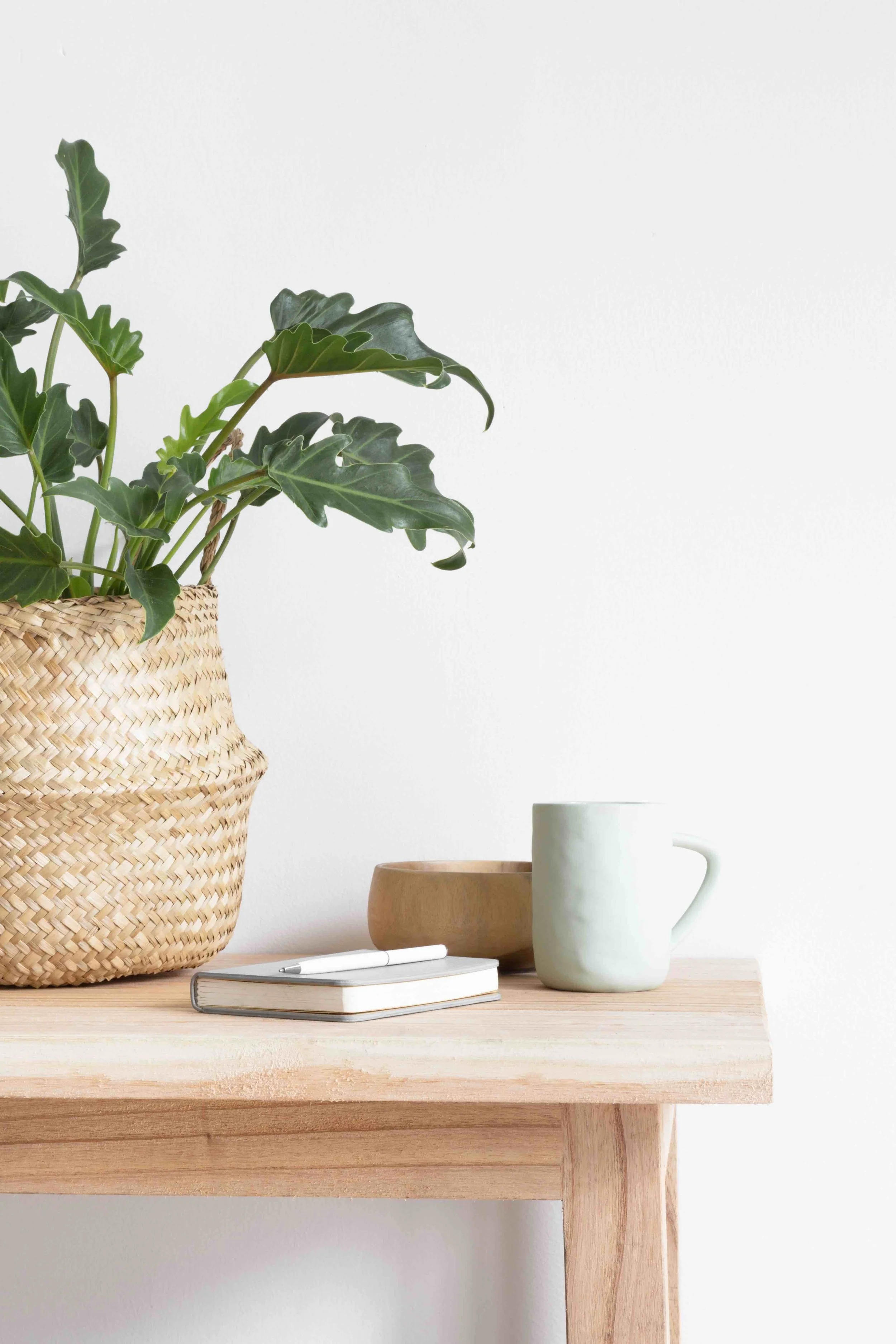 Coffee, plant, and journal on table