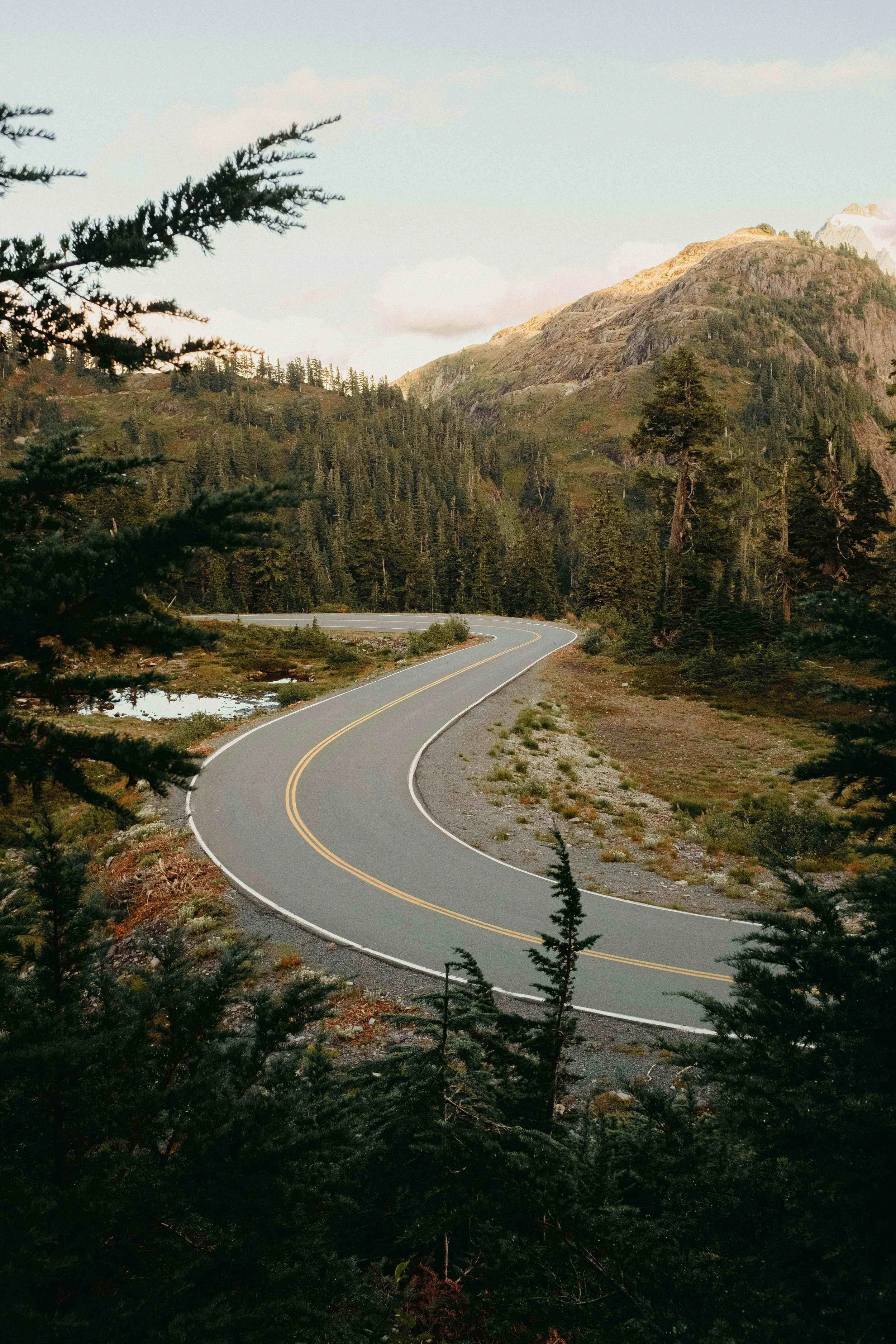 Winding road through the forest in Washington State