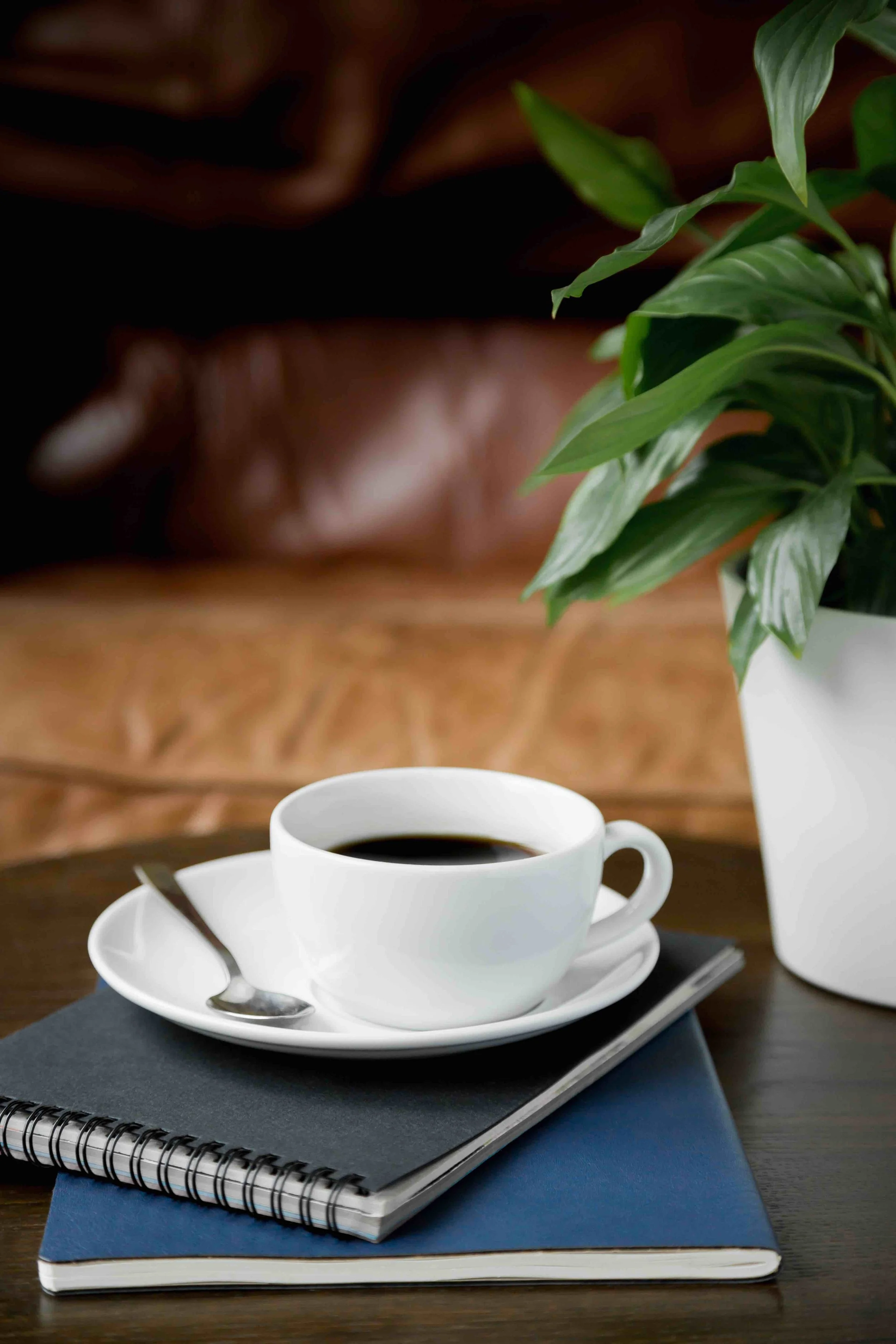 Coffee cup and sauce with spoon on top of two notebooks next to plant on table with couch in background