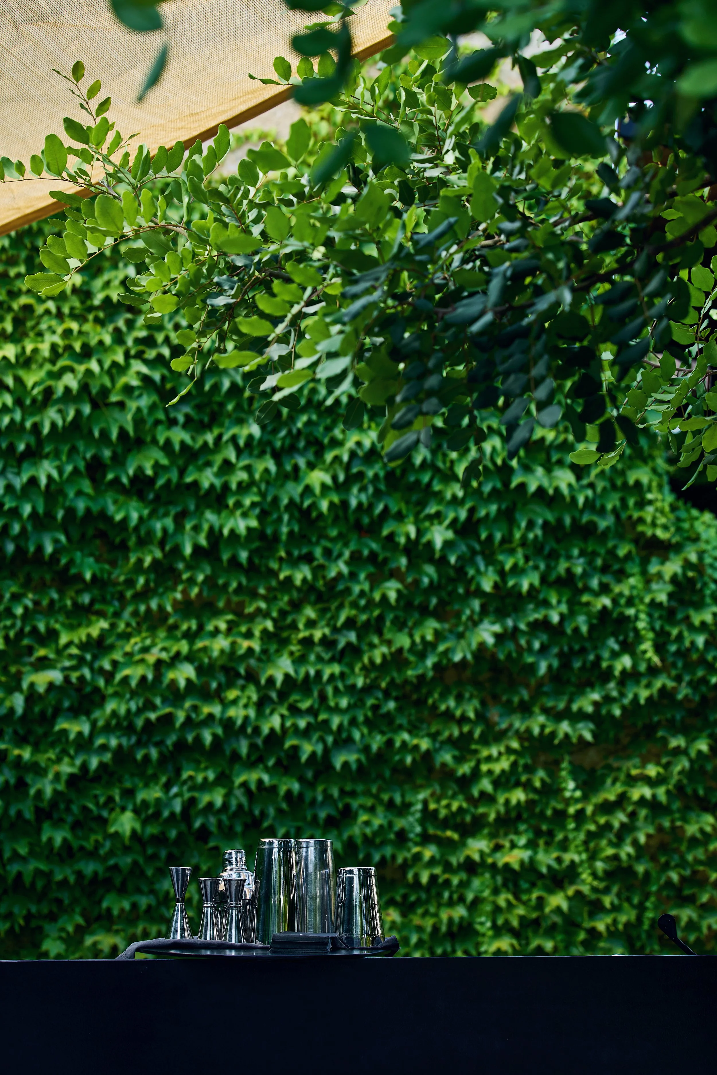 A set of bar utensils and glasses on a black surface in front of a lush green ivy-covered wall.