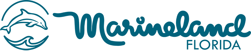 Marineland Dolphin Adventure