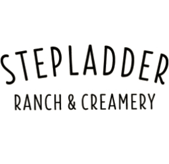 logo-stepladder.png