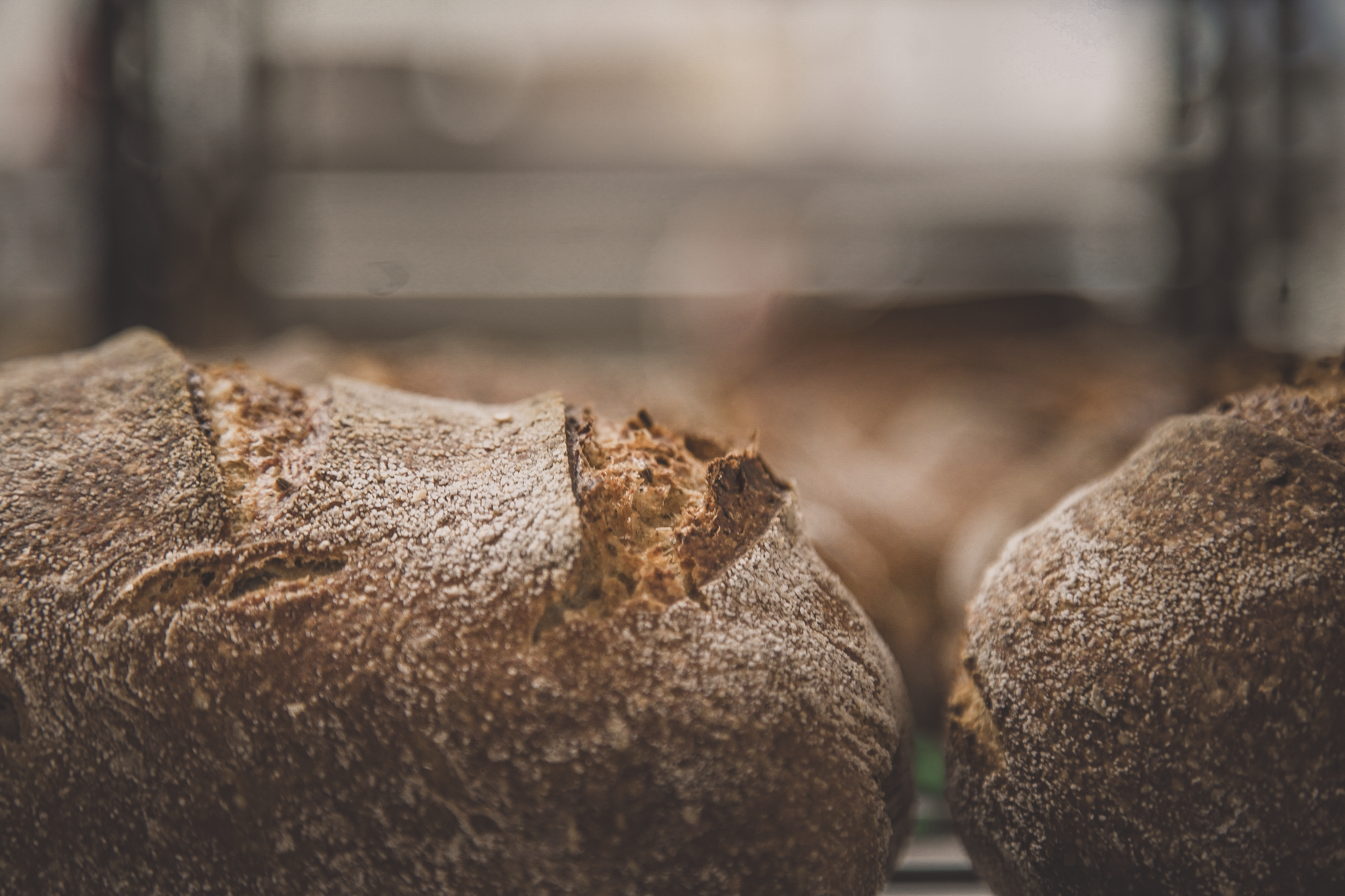 The Best Artisan Bakery in Nelson & Tasman