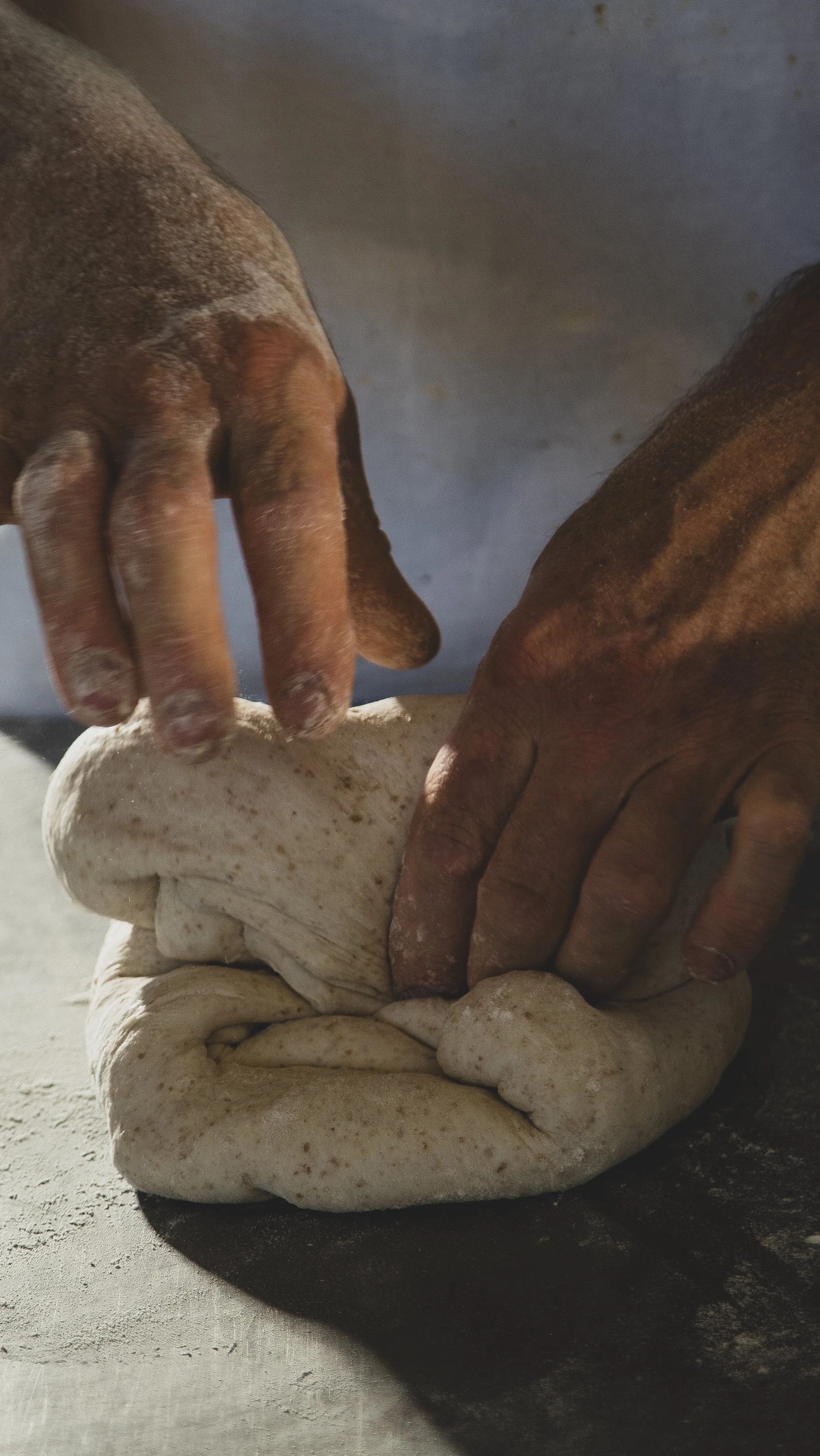 The Best Artisan Bakery in Nelson & Tasman