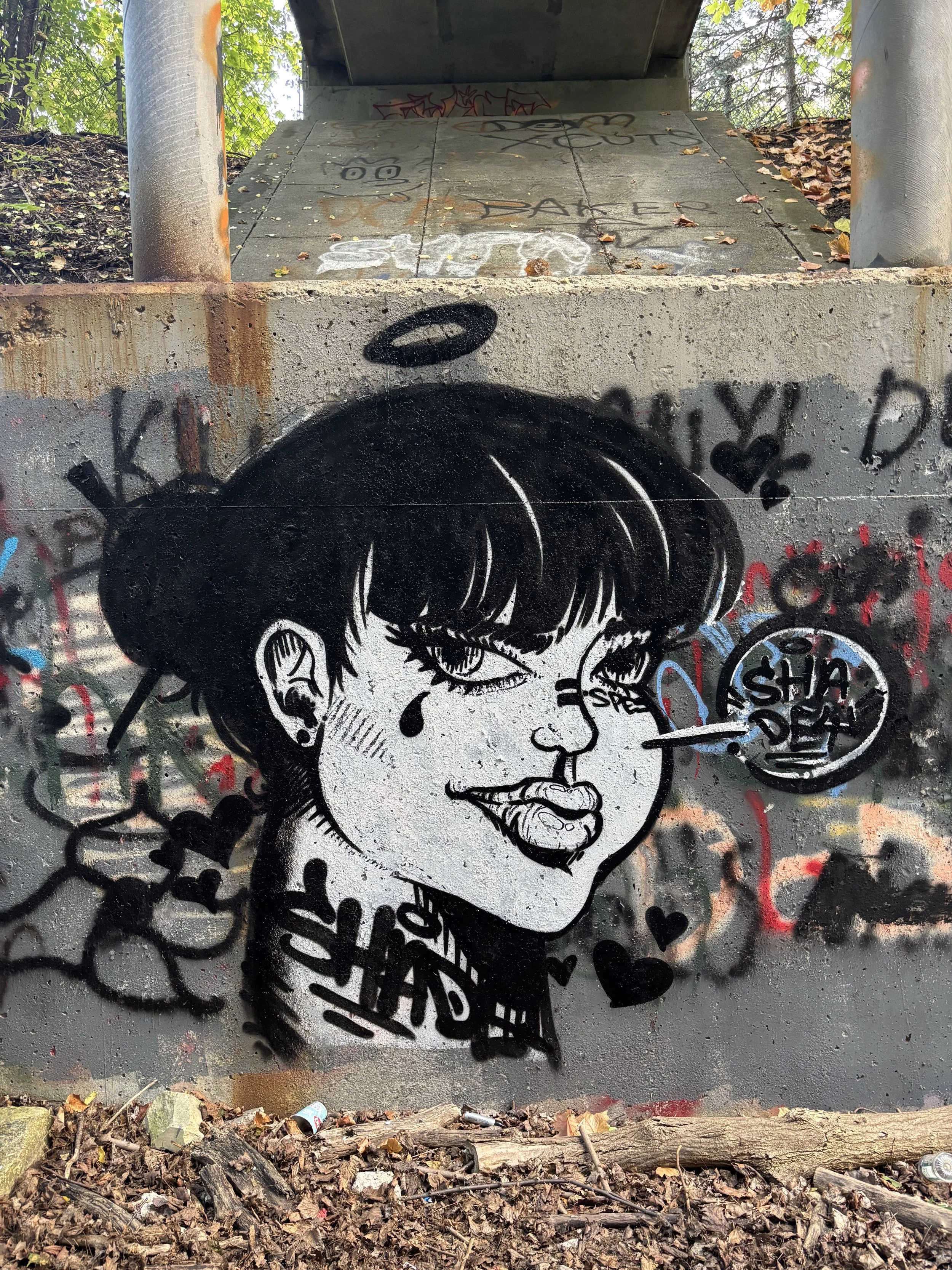 Graffiti art on a concrete wall depicting a stylized woman's face with short black hair, prominent eyelashes, and a small tear below her eye, with a speech bubble containing 