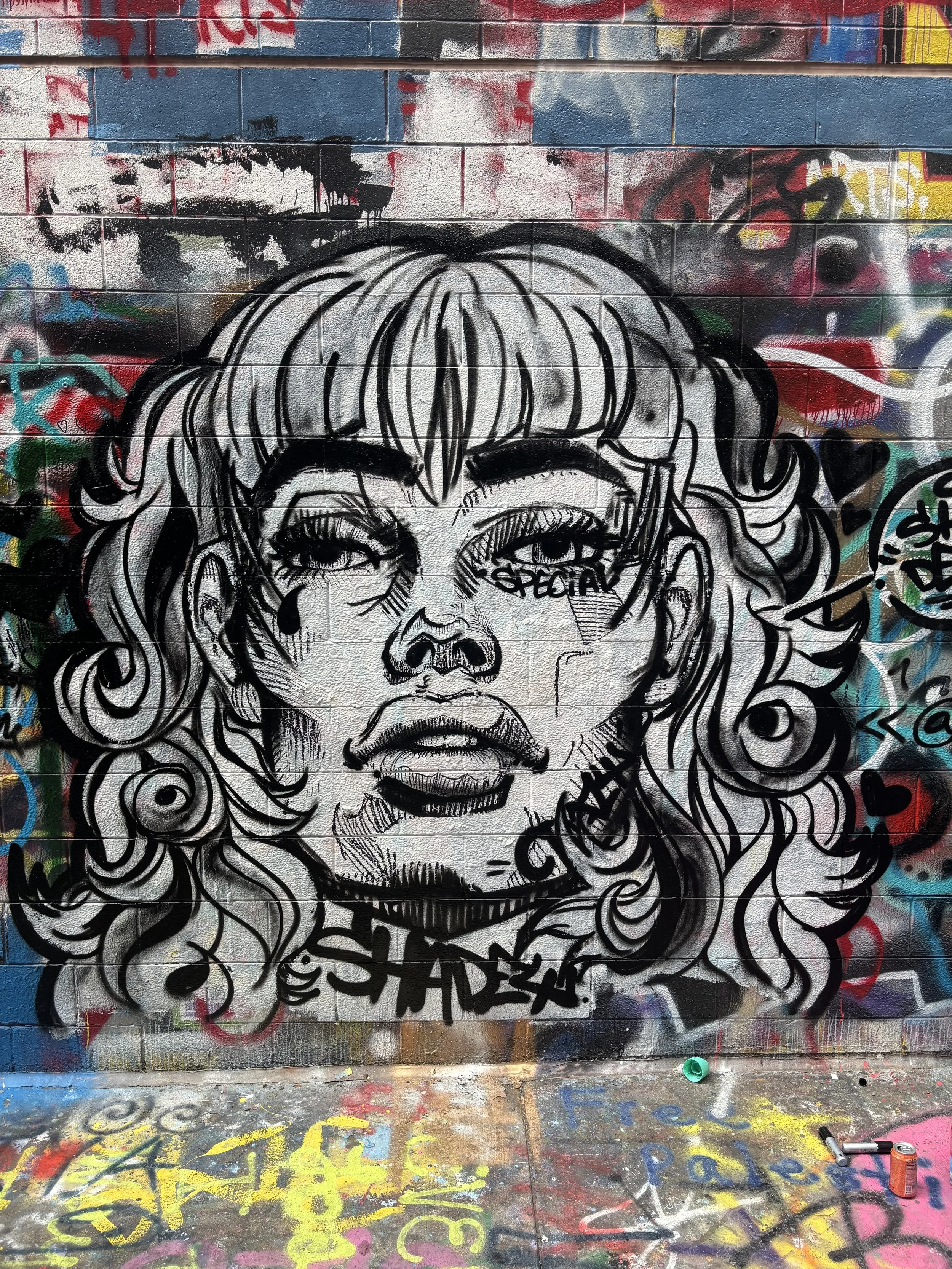 Black and white graffiti mural of a woman's face with curly hair, makeup, and the word 'SPECIAL' written on her cheek, painted on a colorful brick wall.