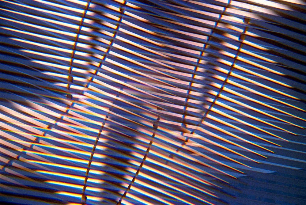 AlexandraDibrell Oculus 2024Oct WebVersion2026.jpg