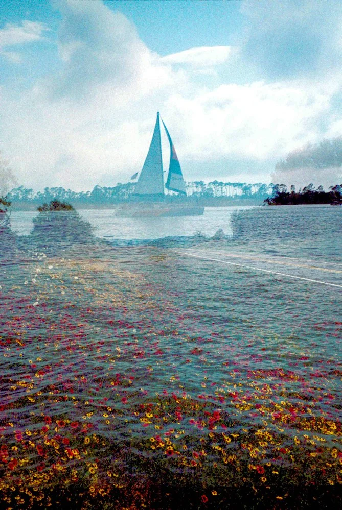 AlexandraDibrell SailboatWithWildflowers 2021May2022May WebVersion2026.jpg