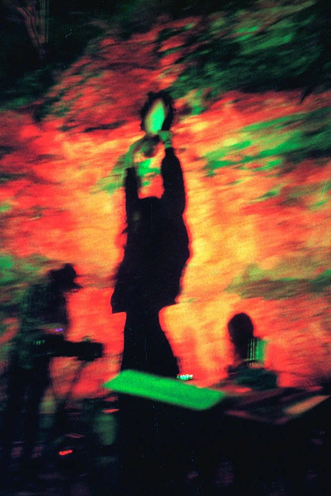 AlexandraDibrell PsychicIlls 2009Oct WebVersion2026.jpg