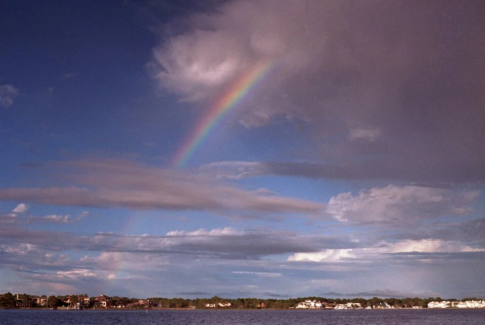 AlexandraDibrell FloridaRainbow(Campsite) 2011Oct WebVersion2026.jpg