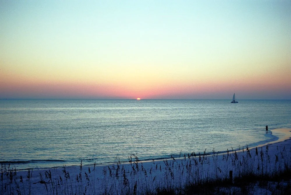 AlexandraDibrell FloridaSunsetWithSeaOatsAndWalker 2012Oct WebVersion2026.jpg