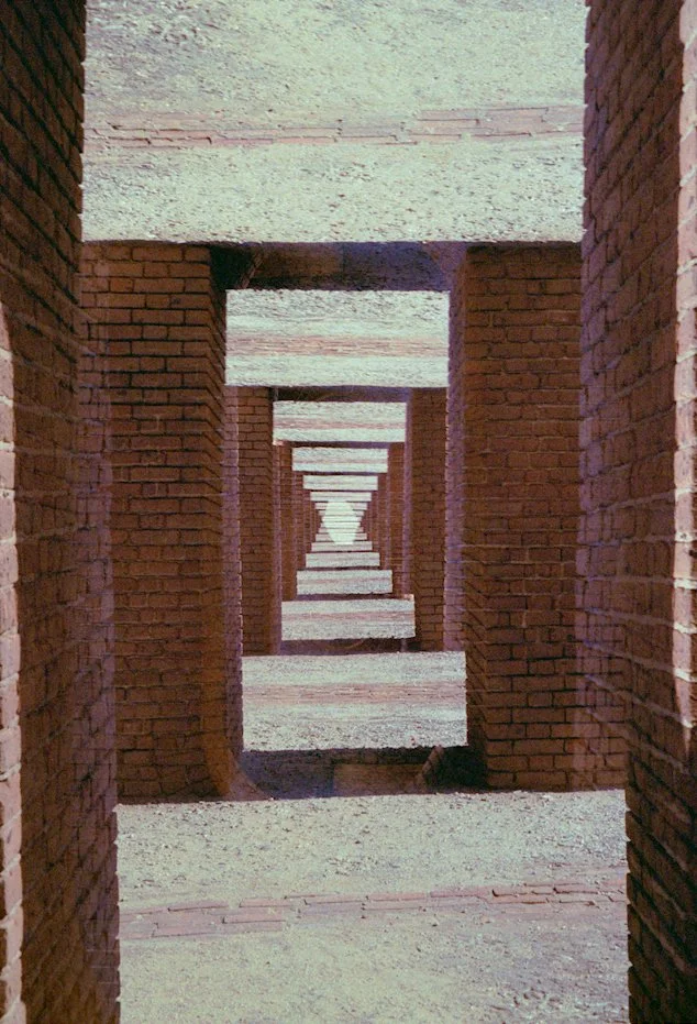 AlexandraDibrell DryTortugas 2018Nov WebVersion2026.jpg