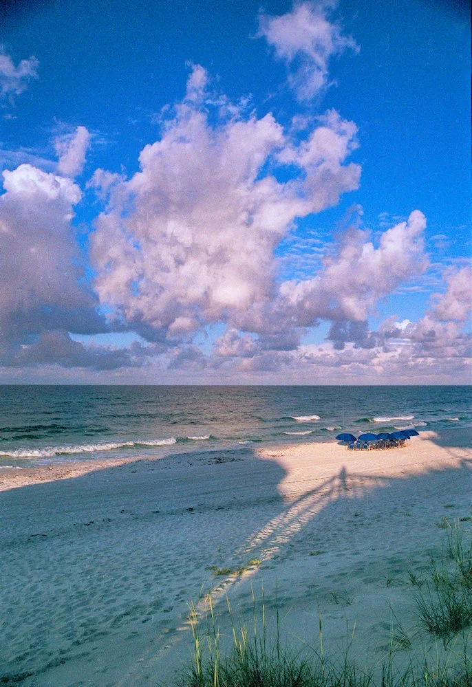 AlexandraDibrell FloridaUmbrealls 2010Jun WebVersion2026.jpg