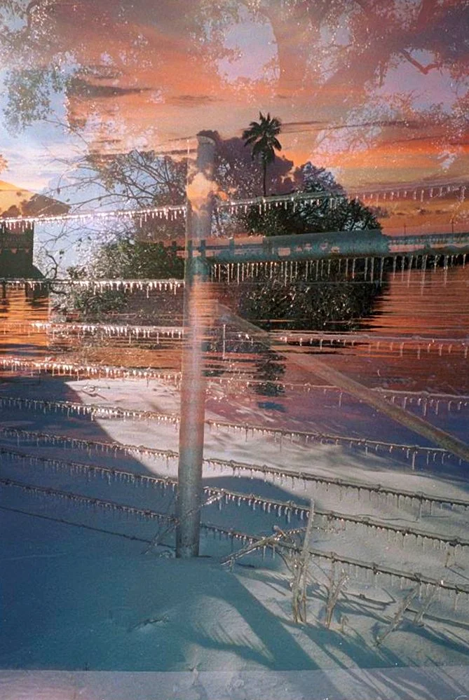 AlexandraDibrell IceFenceSunset 2019Nov WebVersion2026.jpg