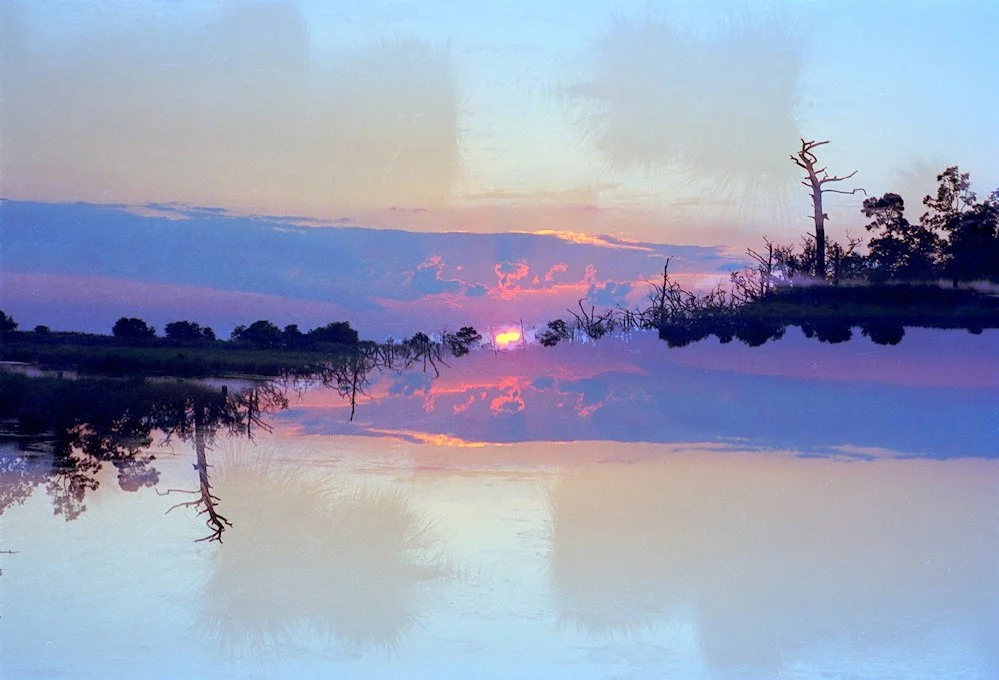 AlexandraDibrell FontainebleauSunset 2012May WebVersion2026.jpg