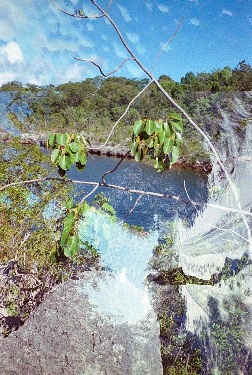 AlexandraDibrell DrivewayIce 2019Nov2021Feb WebVersion2026.jpg