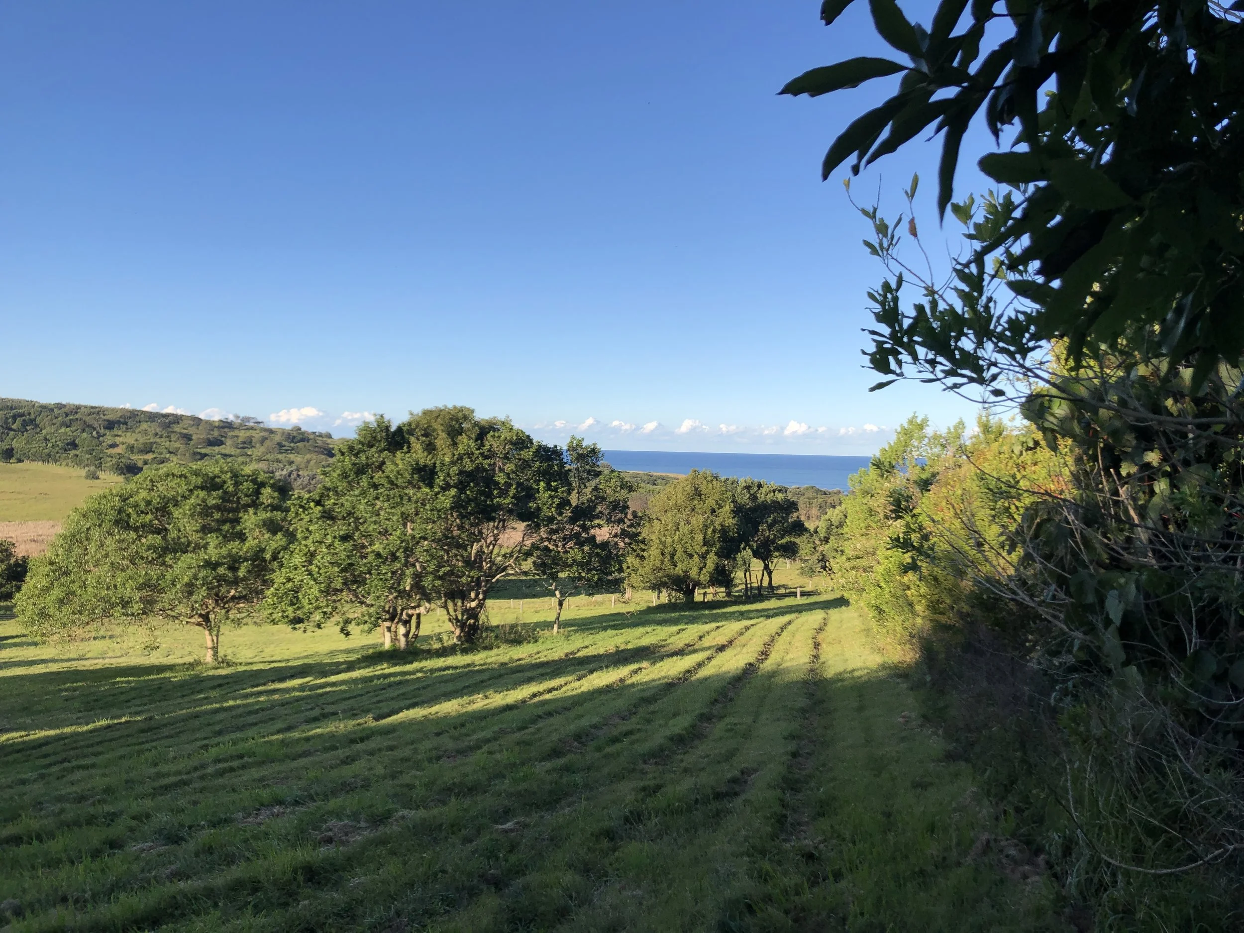 Architecture Byron Bay