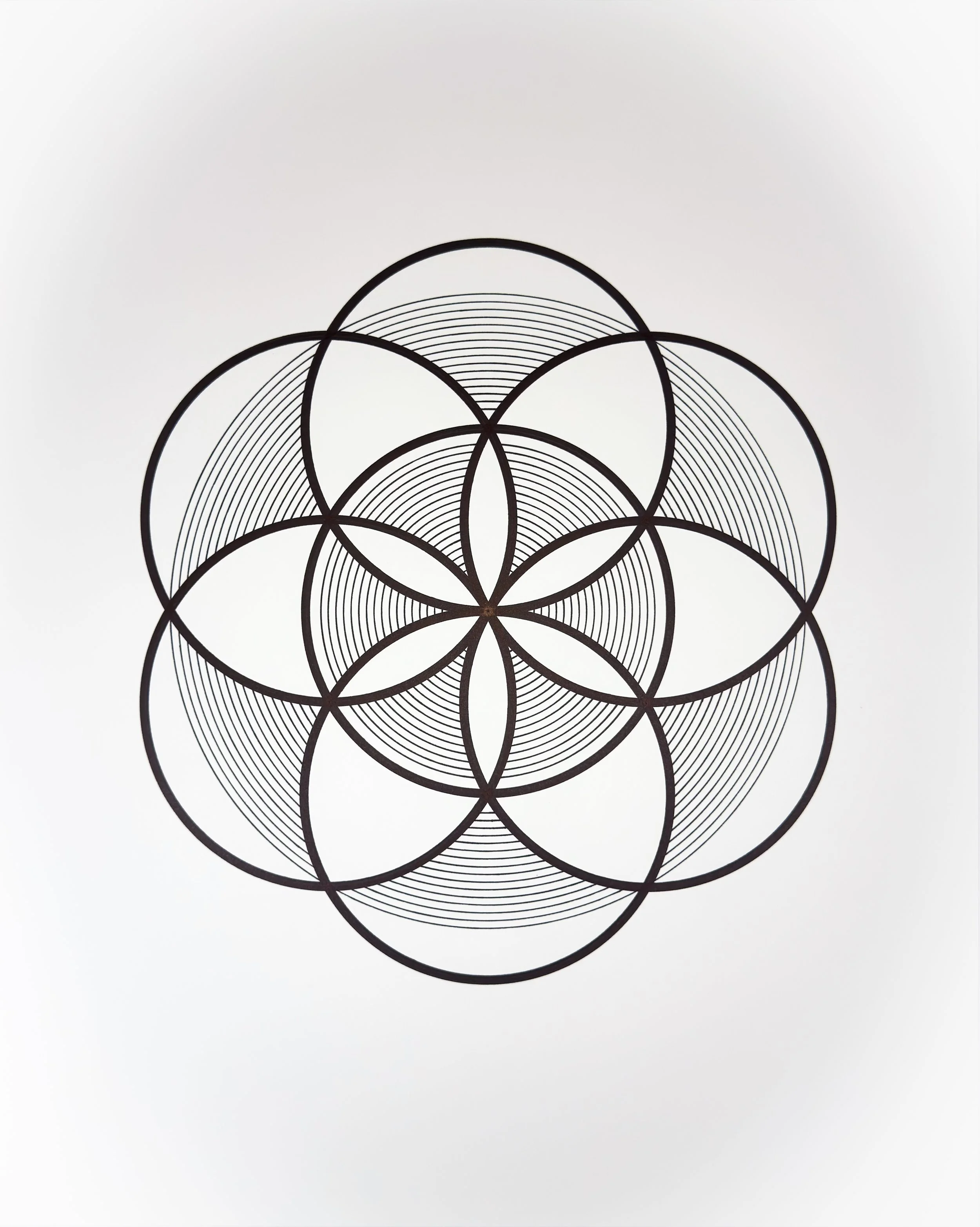 CIRCLES_Tyler Hanzel_-03.jpg
