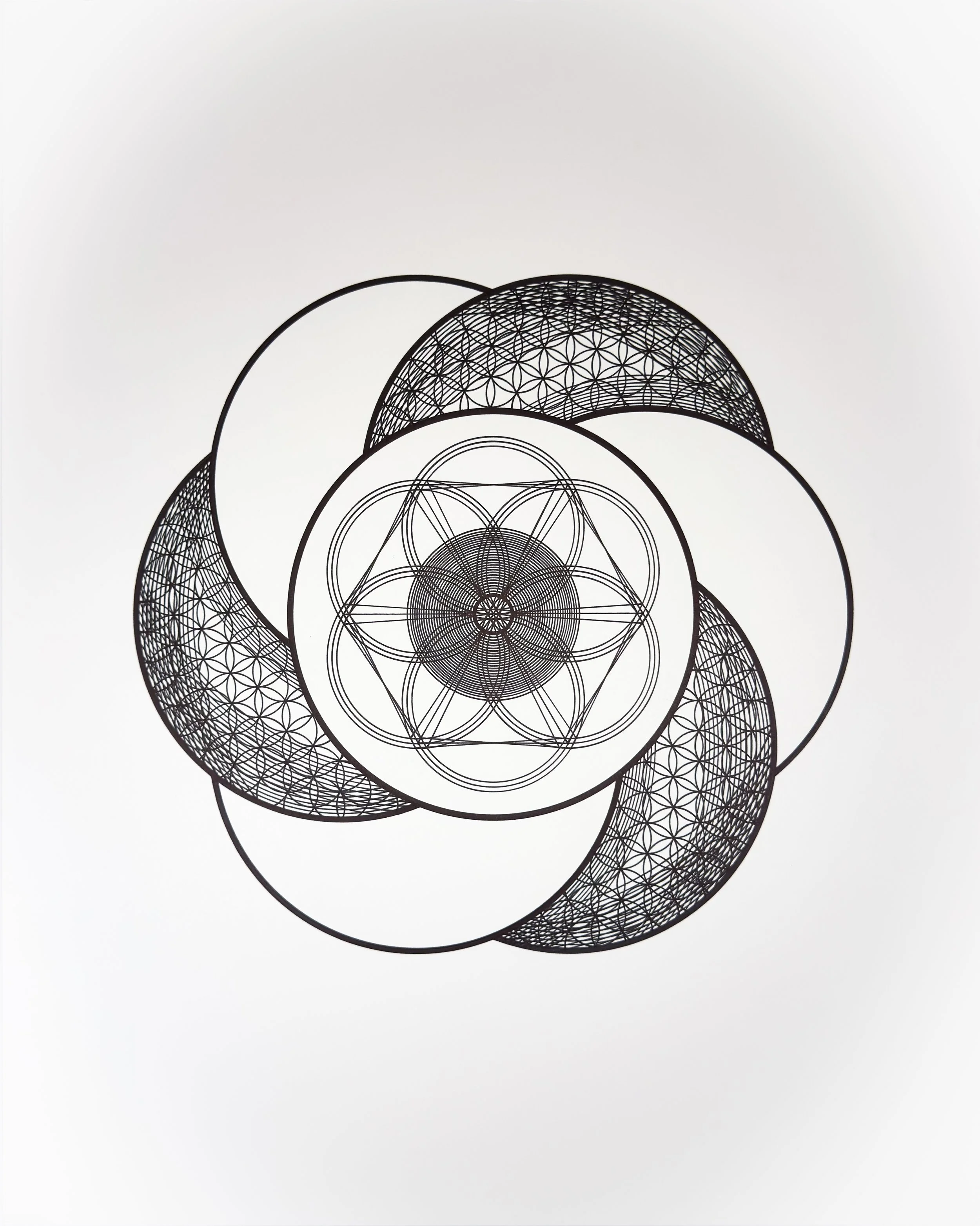 CIRCLES_Tyler Hanzel_-16.jpg