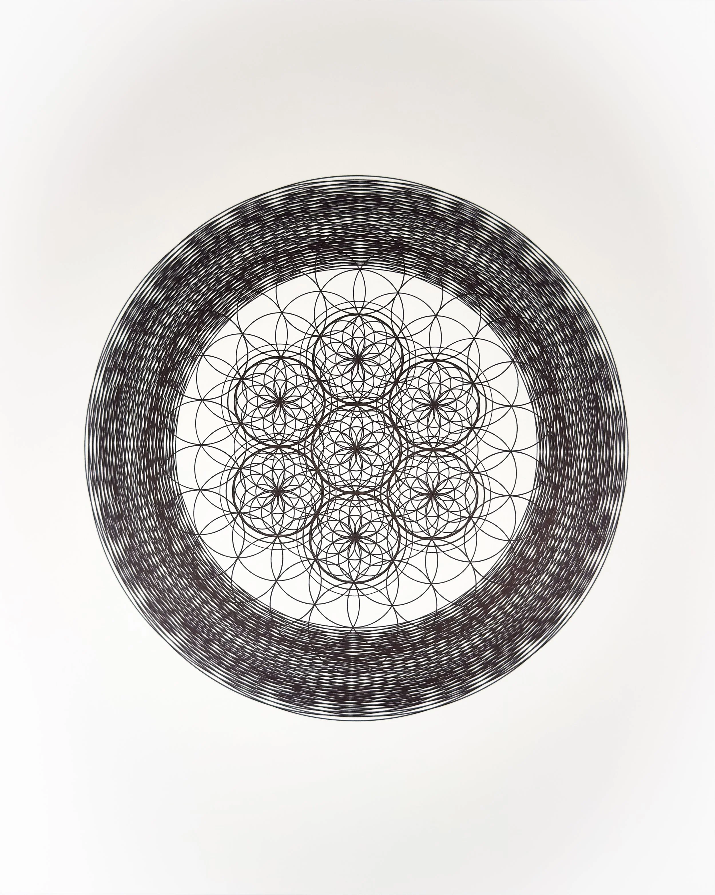 CIRCLES_Tyler Hanzel_-27.jpg