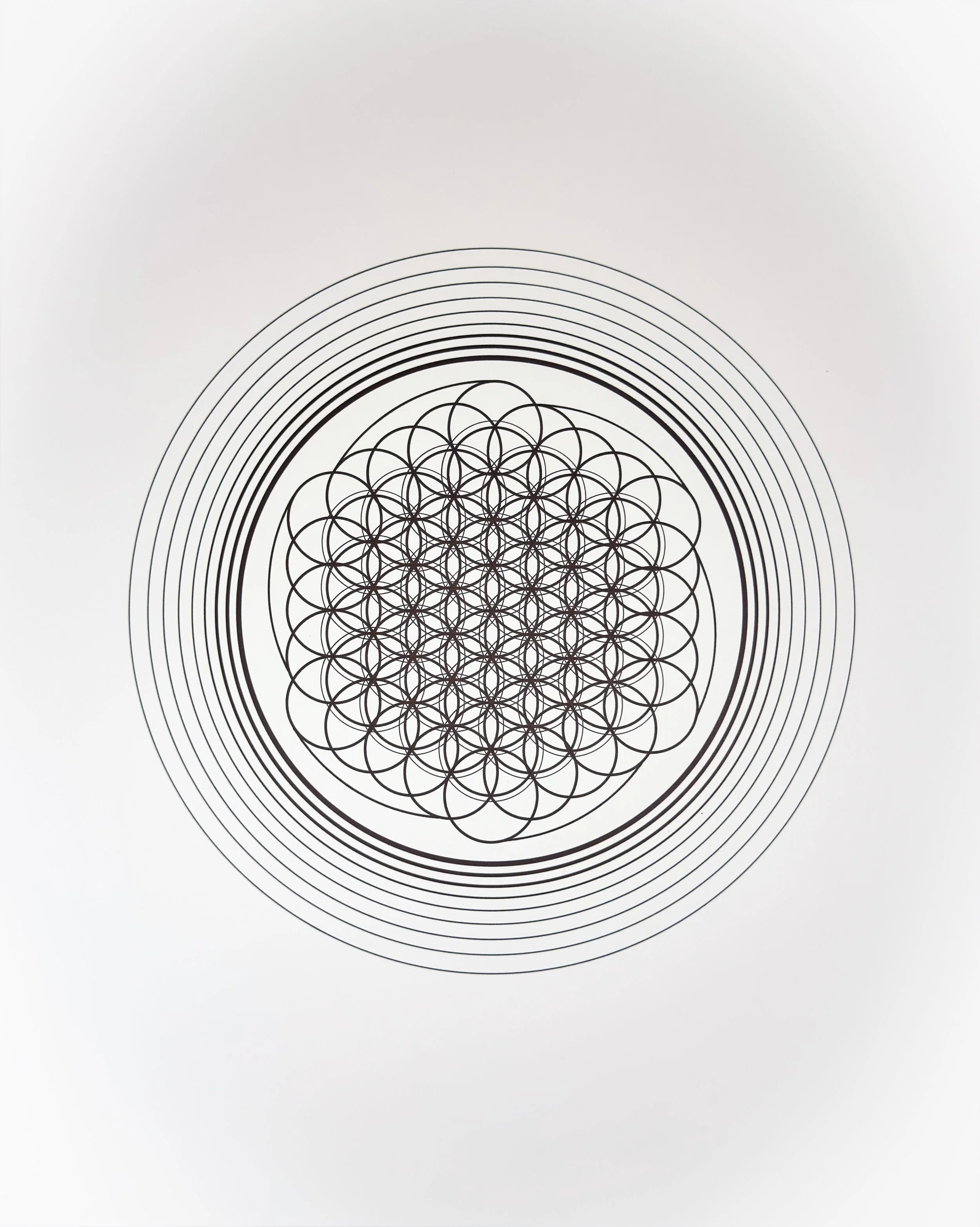 CIRCLES_Tyler Hanzel_-09.jpg