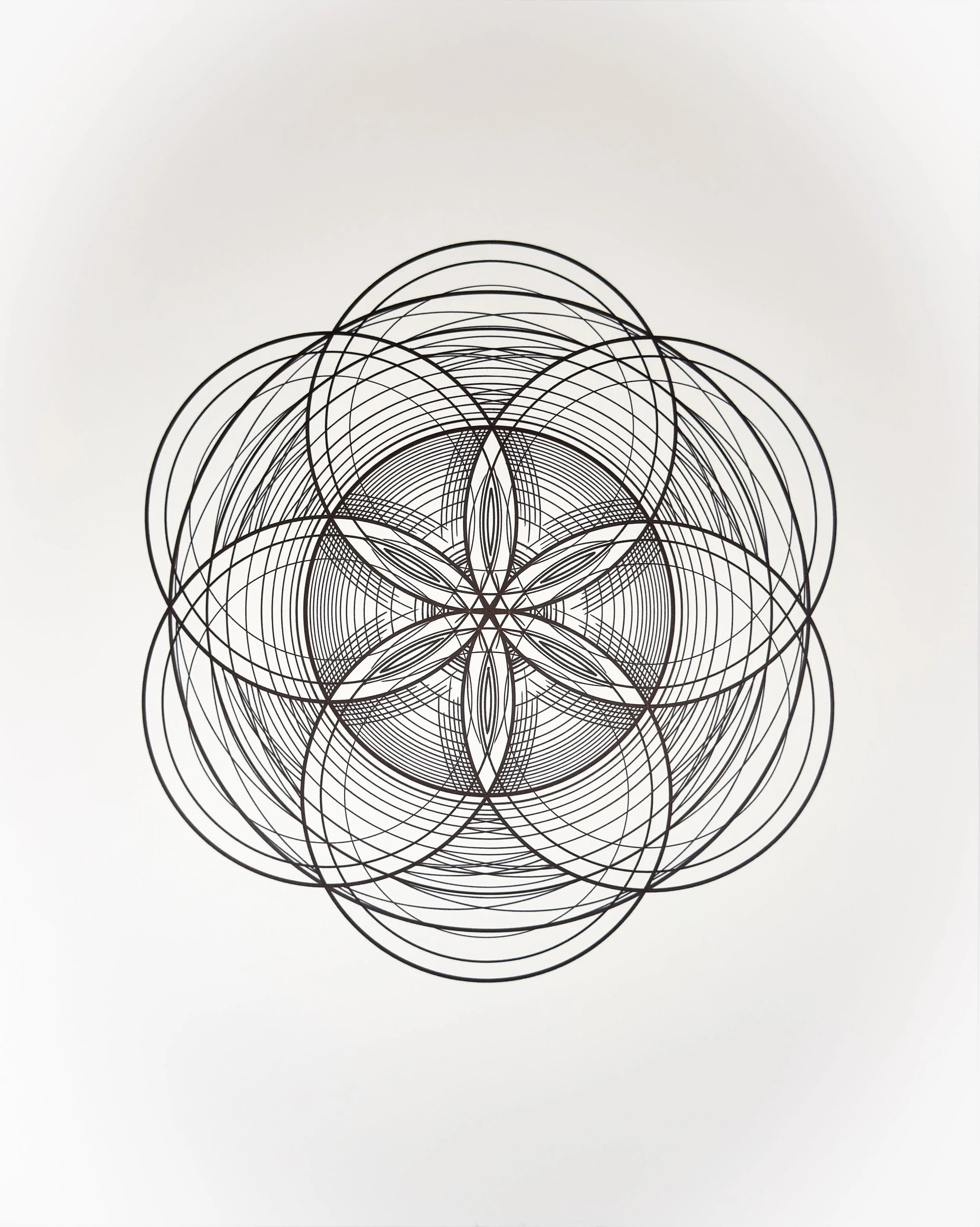 CIRCLES_Tyler Hanzel_-04.jpg
