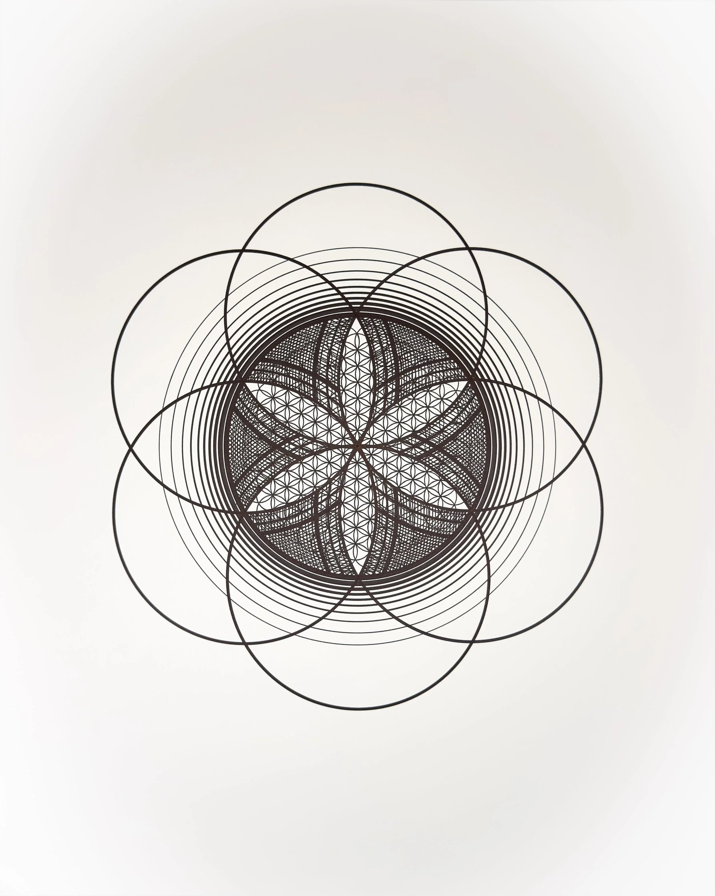 CIRCLES_Tyler Hanzel_-41.jpg
