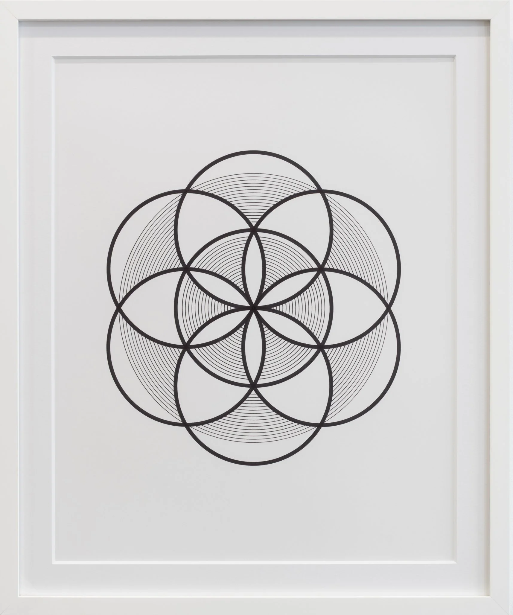 tyler-hanzel-tiw-circles-worldwide-2026-sacred-seed-of-life-ii-web.jpg