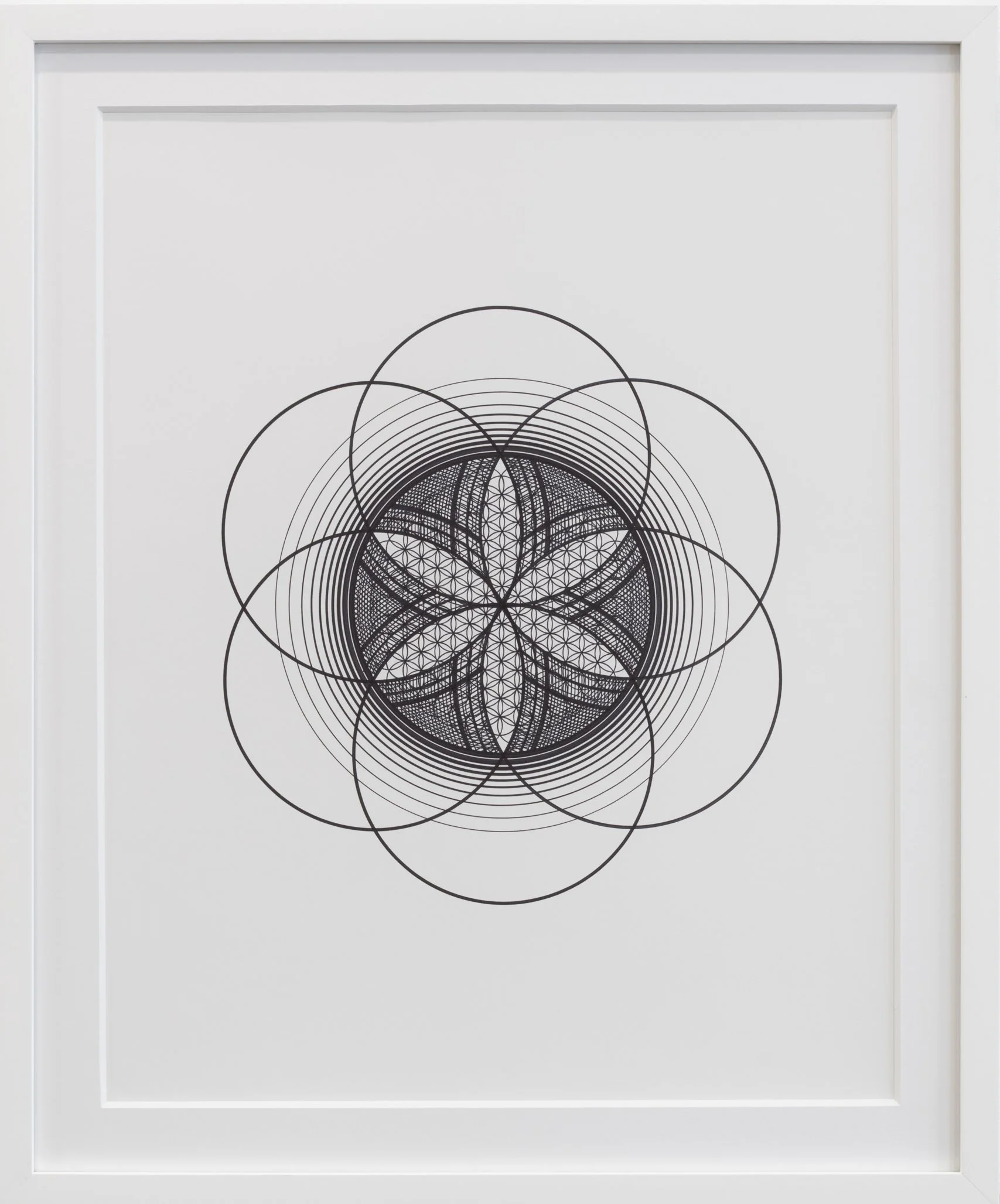 tyler-hanzel-tiw-circles-worldwide-2026-sacred-seed-of-life-i-web.jpg