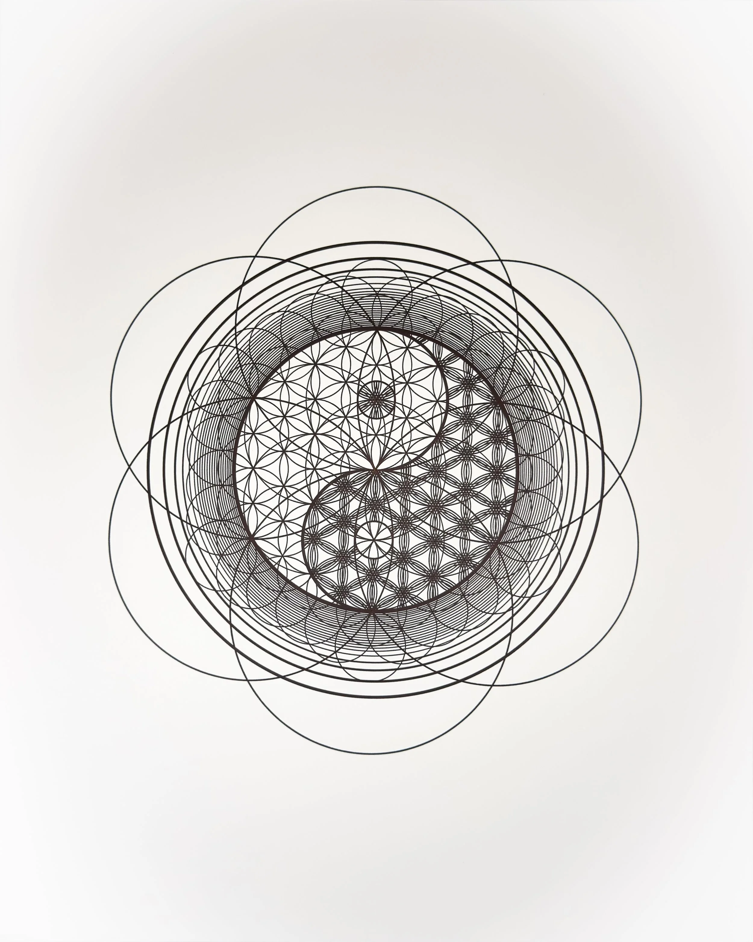 CIRCLES_Tyler Hanzel_-15.jpg