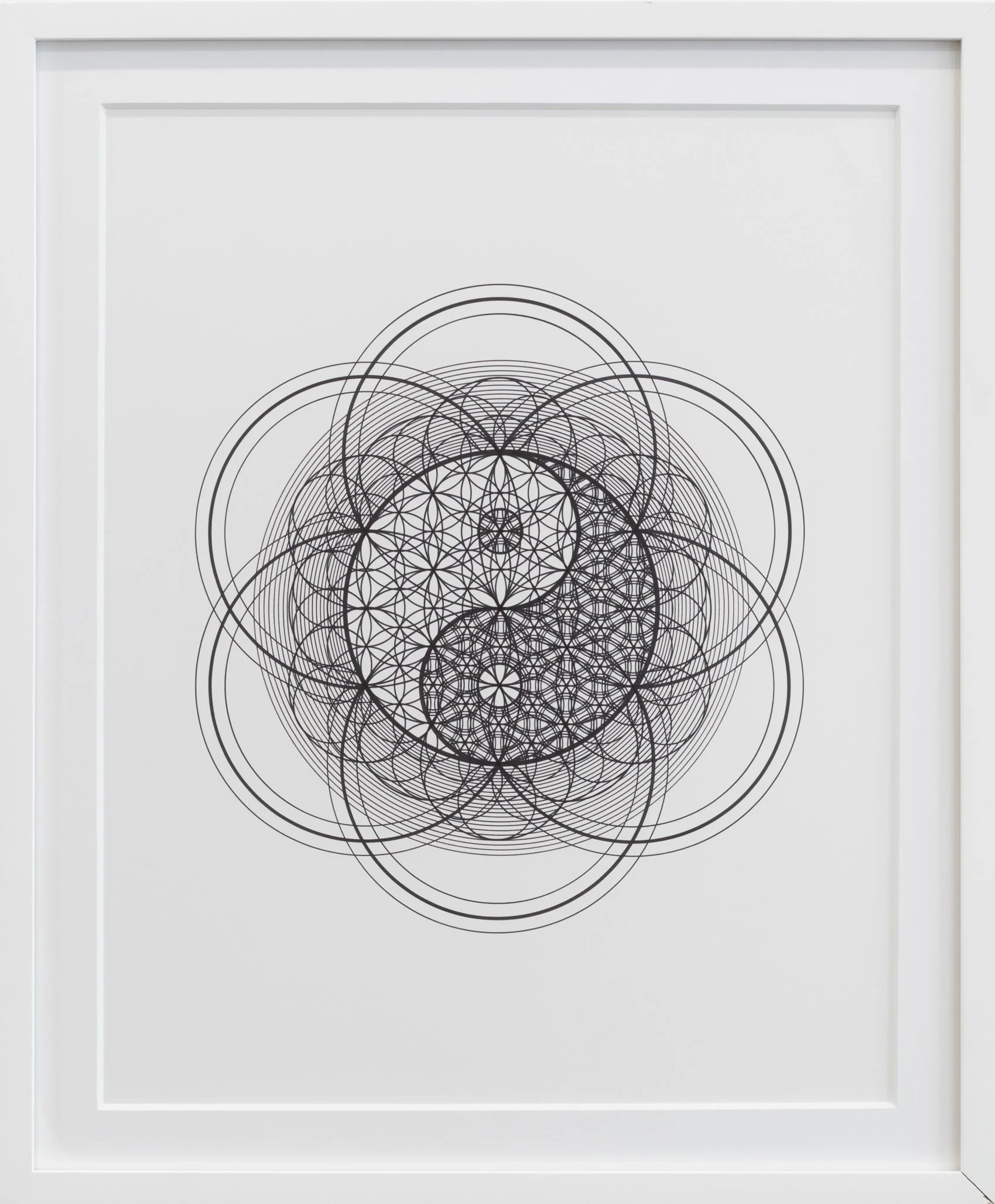tyler-hanzel-tiw-circles-worldwide-2026-flower-of-balance-ii-web.jpg