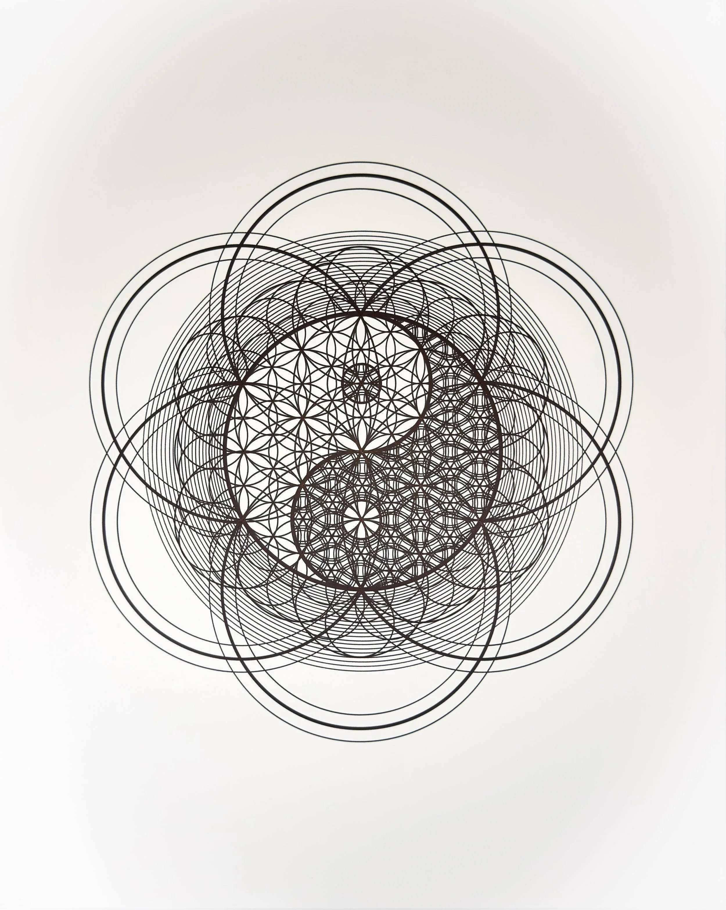 CIRCLES_Tyler Hanzel_-35.jpg