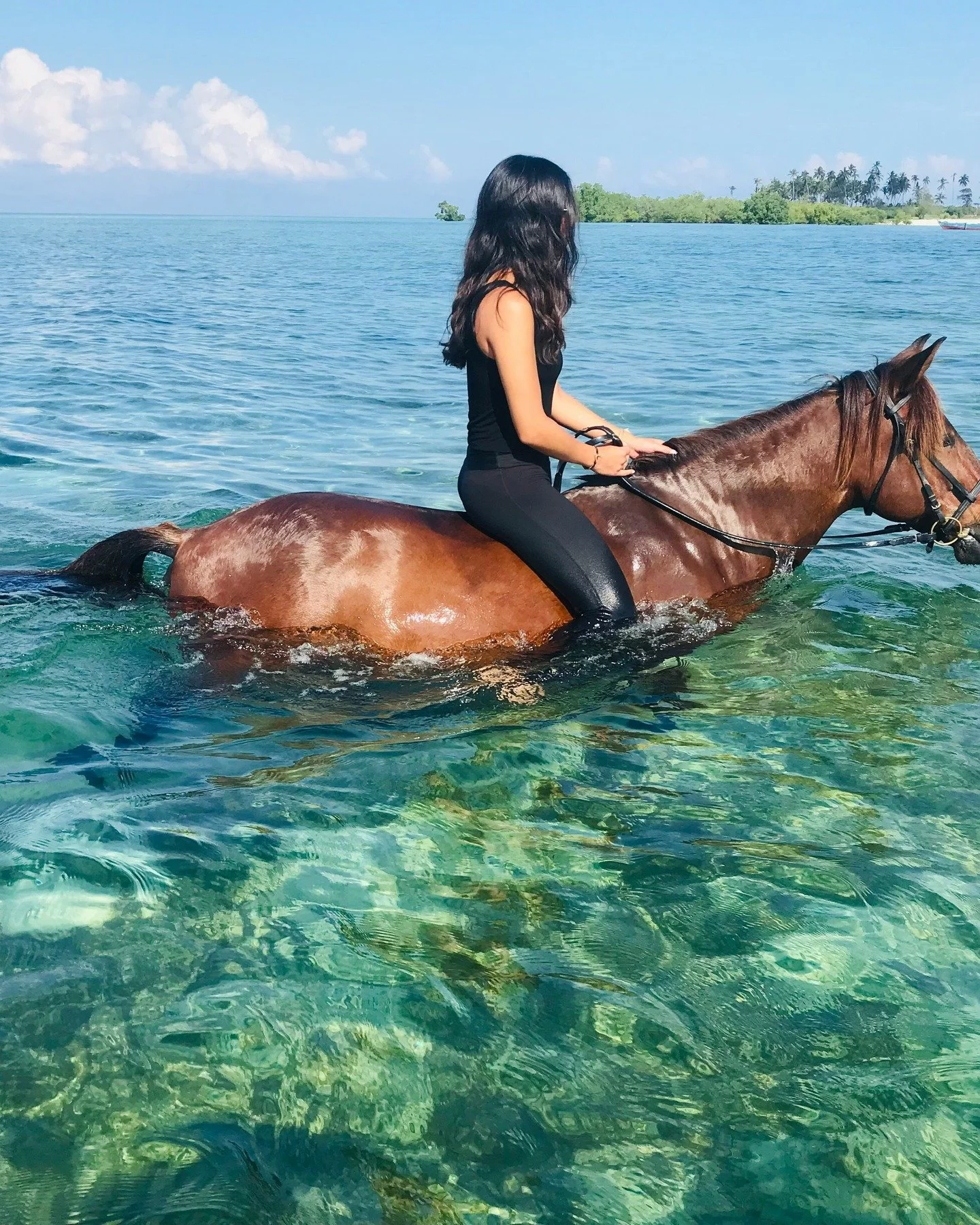 It&rsquo;s January, which means one thing in my world: The race for the perfect Spring Break is officially on. You&rsquo;re probably reading this thinking &ldquo;But Alysha, I just got through the Holidays. That can&rsquo;t be true.&rdquo;

It is. An